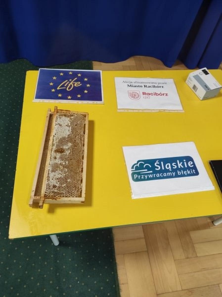 Zdjęcie w galerii na portalu naszraciborz.pl: Raciborskie przedszkolaki angażują się w akcję pszczelarską wiadomości z regionu