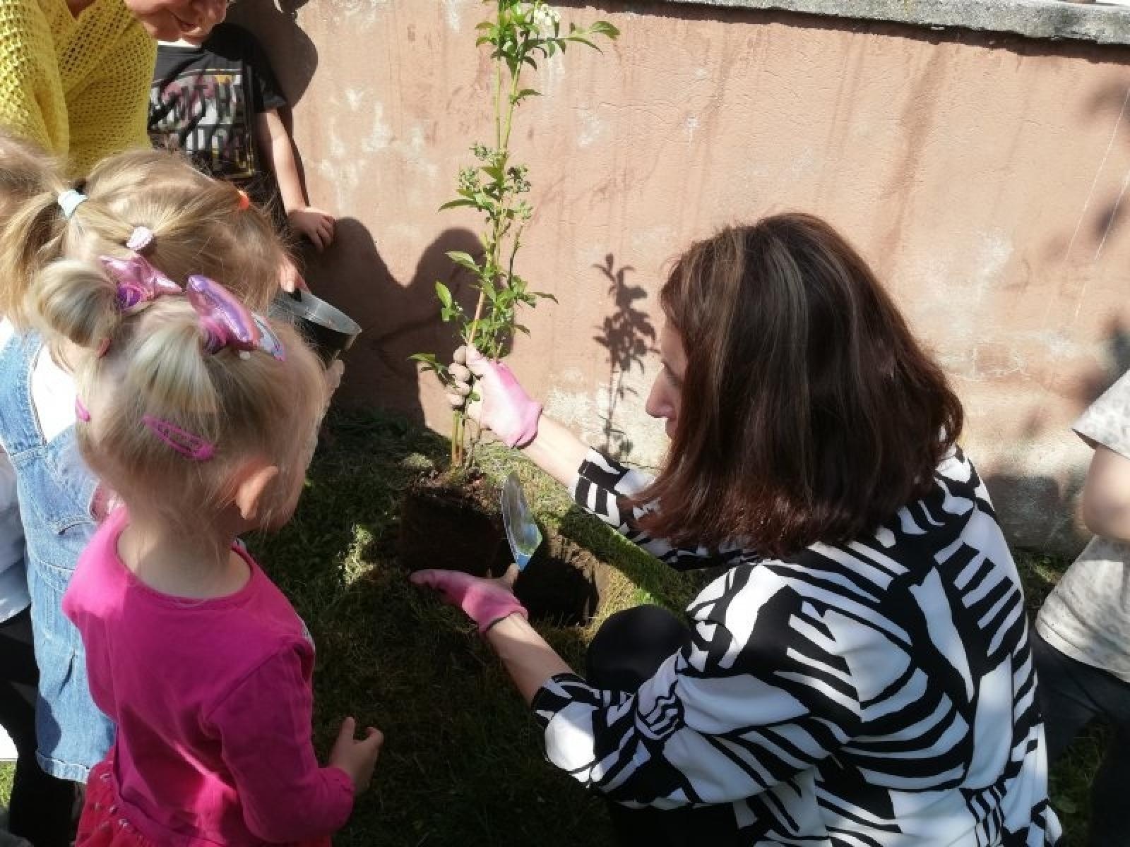 Zdjęcie w galerii na portalu naszraciborz.pl: Raciborskie przedszkolaki angażują się w akcję pszczelarską wiadomości z regionu