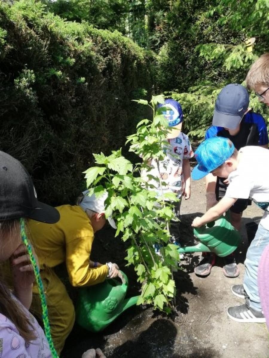 Zdjęcie w galerii na portalu naszraciborz.pl: Raciborskie przedszkolaki angażują się w akcję pszczelarską wiadomości z regionu