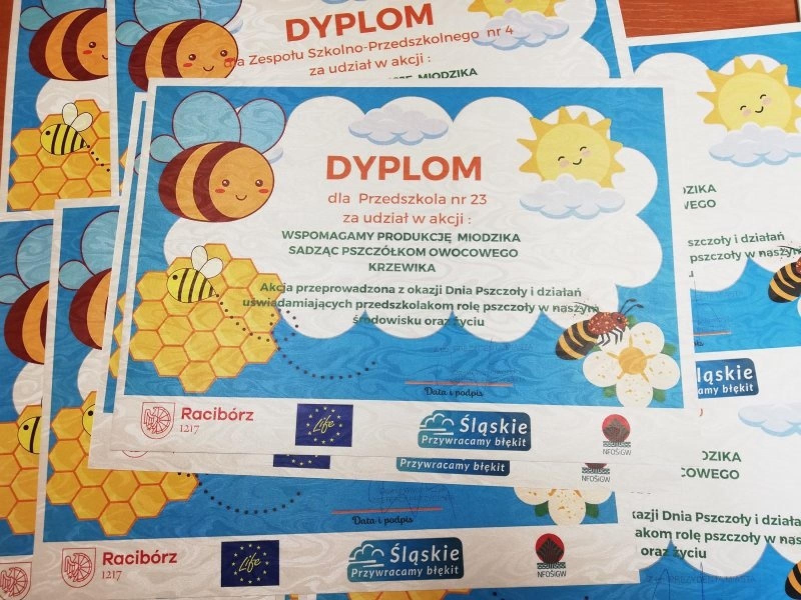 Zdjęcie w galerii na portalu naszraciborz.pl: Raciborskie przedszkolaki angażują się w akcję pszczelarską wiadomości z regionu