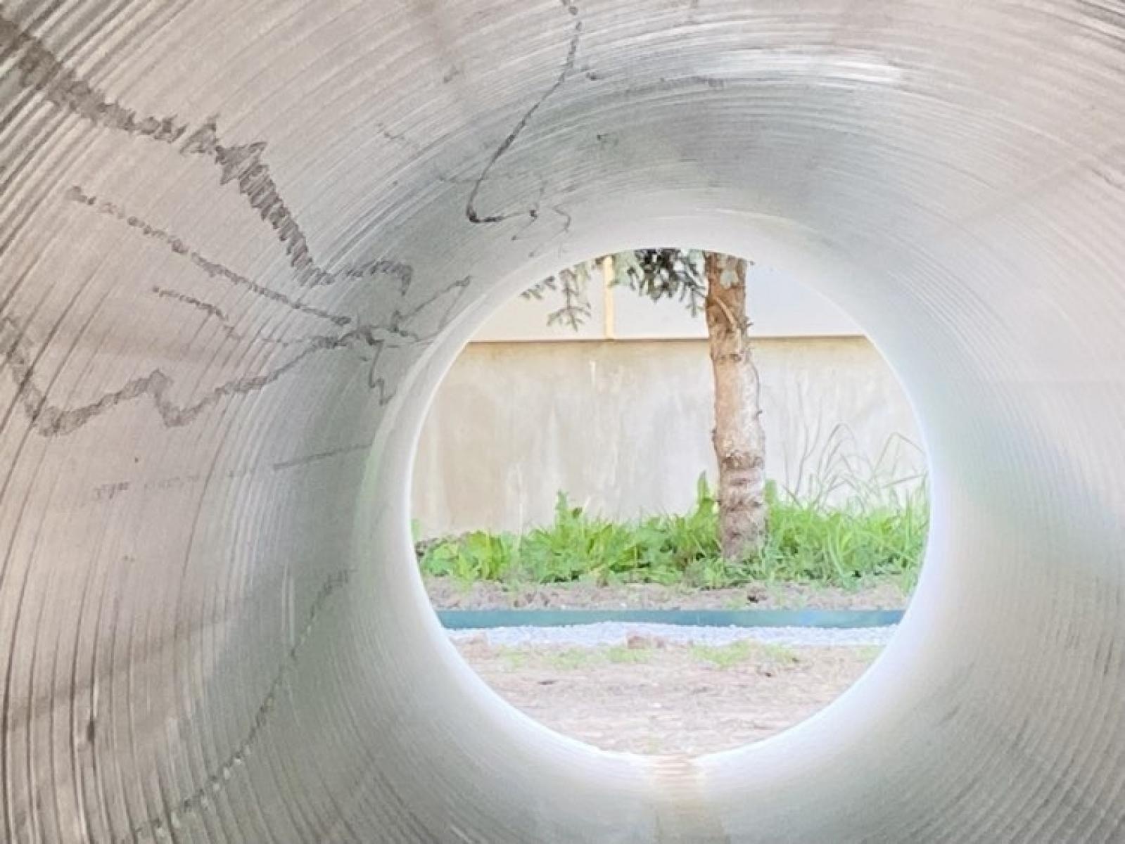 Zdjęcie w galerii na portalu naszraciborz.pl: Leśne ludki - projekt obywatelski zmierza do finału wiadomości z regionu