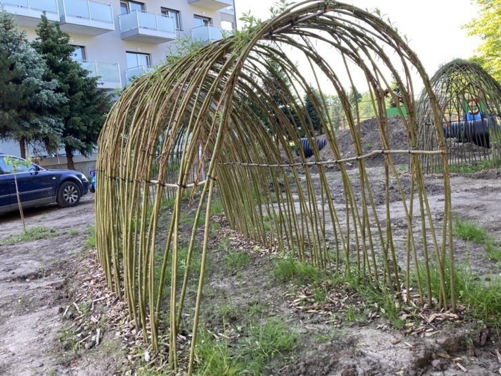 Zdjęcie w galerii na portalu naszraciborz.pl: Leśne ludki - projekt obywatelski zmierza do finału wiadomości z regionu