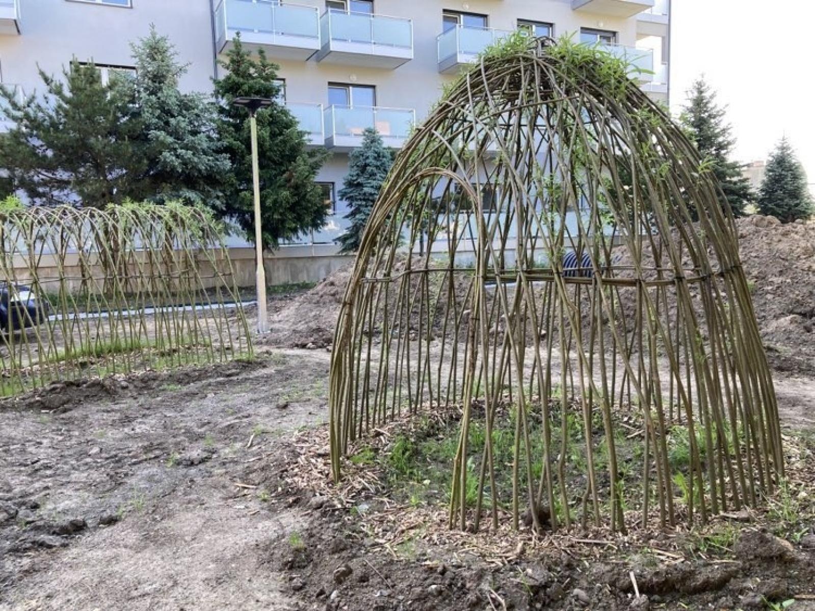 Zdjęcie w galerii na portalu naszraciborz.pl: Leśne ludki - projekt obywatelski zmierza do finału wiadomości z regionu