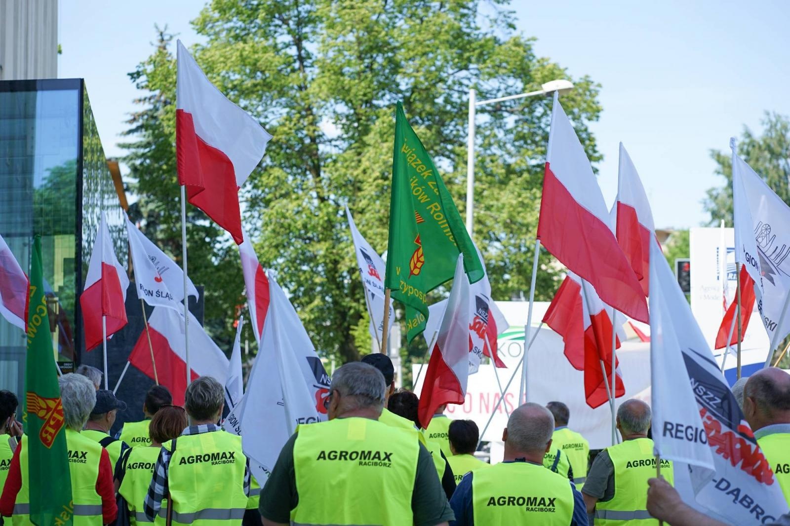Zdjęcie w galerii na portalu naszraciborz.pl: Pracownicy Agromaxu protestowali w Częstochowie wiadomości z regionu