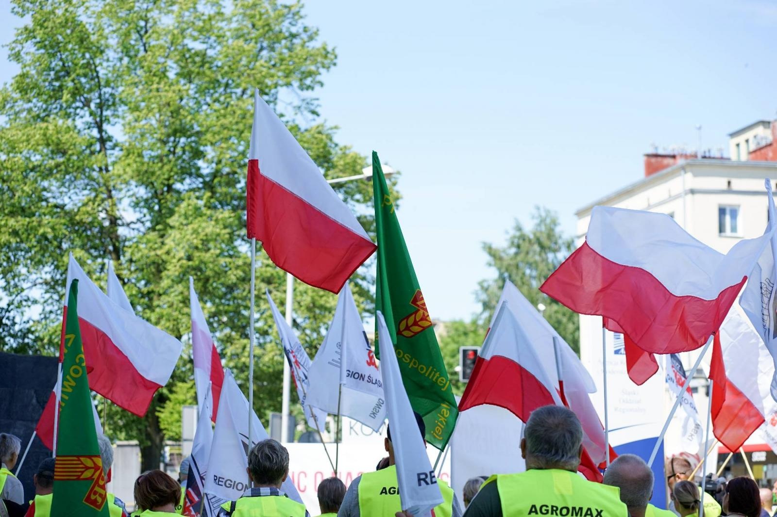 Zdjęcie w galerii na portalu naszraciborz.pl: Pracownicy Agromaxu protestowali w Częstochowie wiadomości z regionu