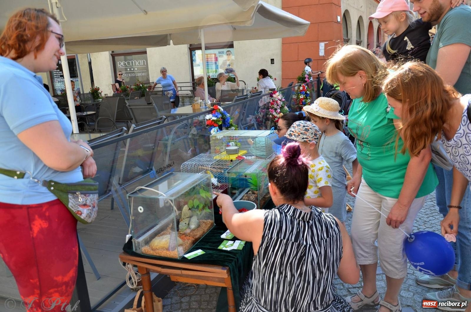 Zdjęcie w galerii na portalu naszraciborz.pl: Tłumy na Długiej. Przedsiębiorcy zapewnili zabawę na 102 [FOTO i WIDEO] wiadomości z regionu