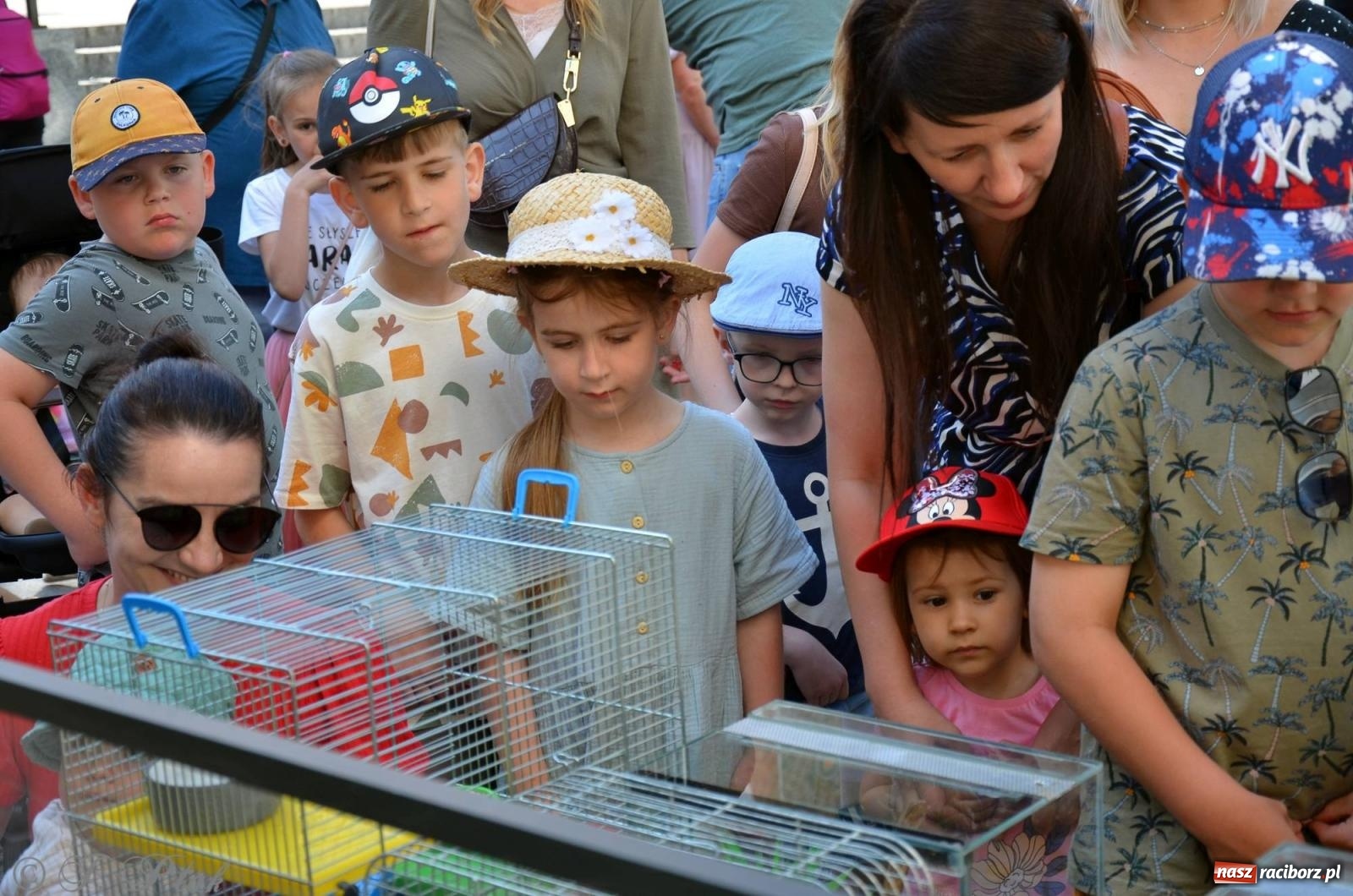 Zdjęcie w galerii na portalu naszraciborz.pl: Tłumy na Długiej. Przedsiębiorcy zapewnili zabawę na 102 [FOTO i WIDEO] wiadomości z regionu