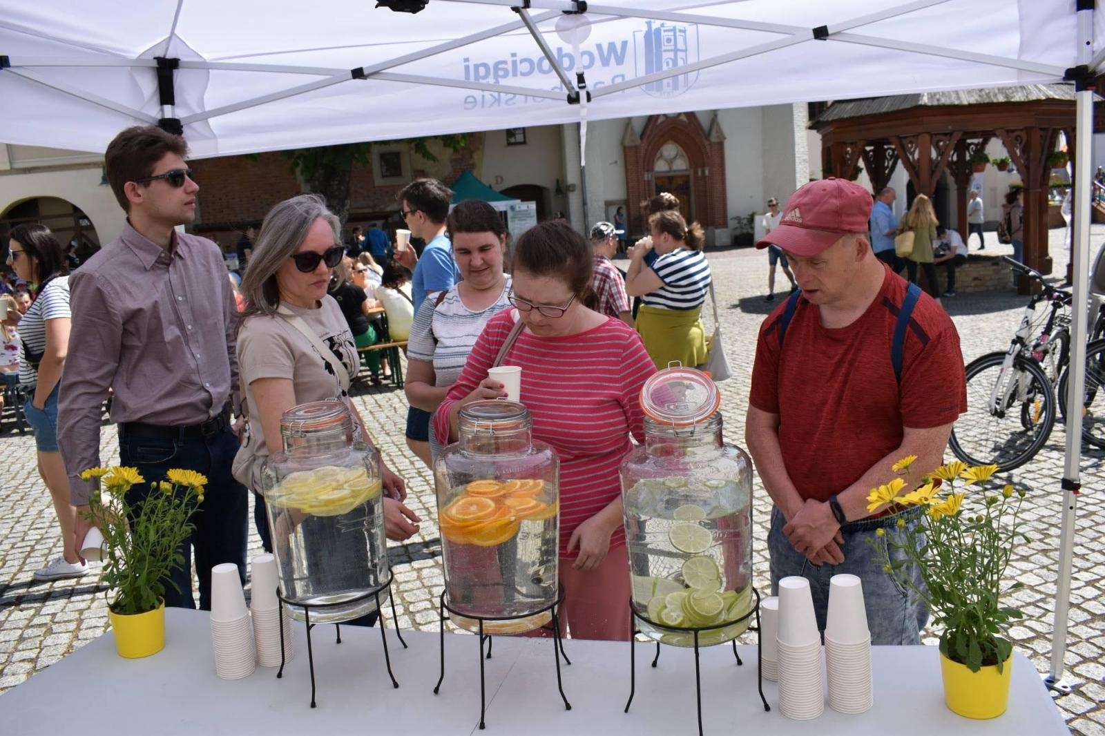 Zdjęcie w galerii na portalu naszraciborz.pl: Piknik integracyjny z okazji Dnia Dziecka na Zamku Piastowskim za nami wiadomości z regionu