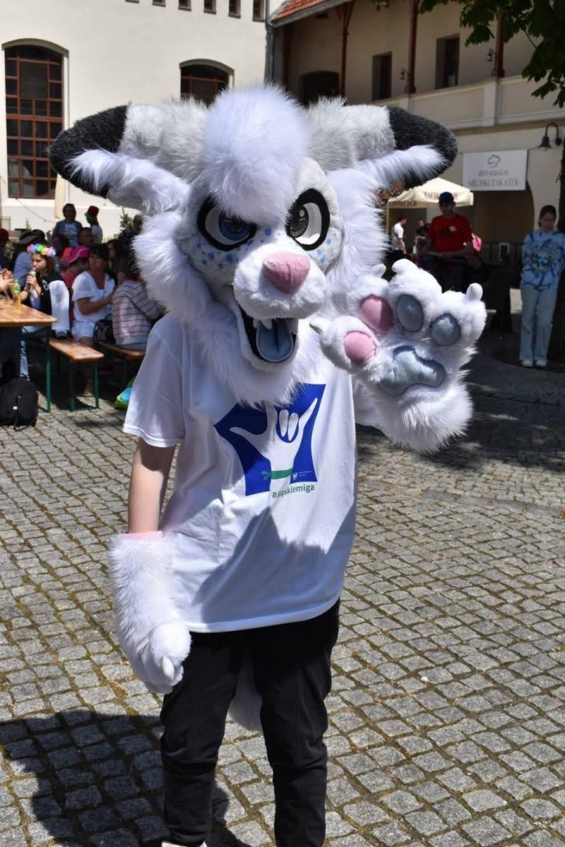 Zdjęcie w galerii na portalu naszraciborz.pl: Piknik integracyjny z okazji Dnia Dziecka na Zamku Piastowskim za nami wiadomości z regionu