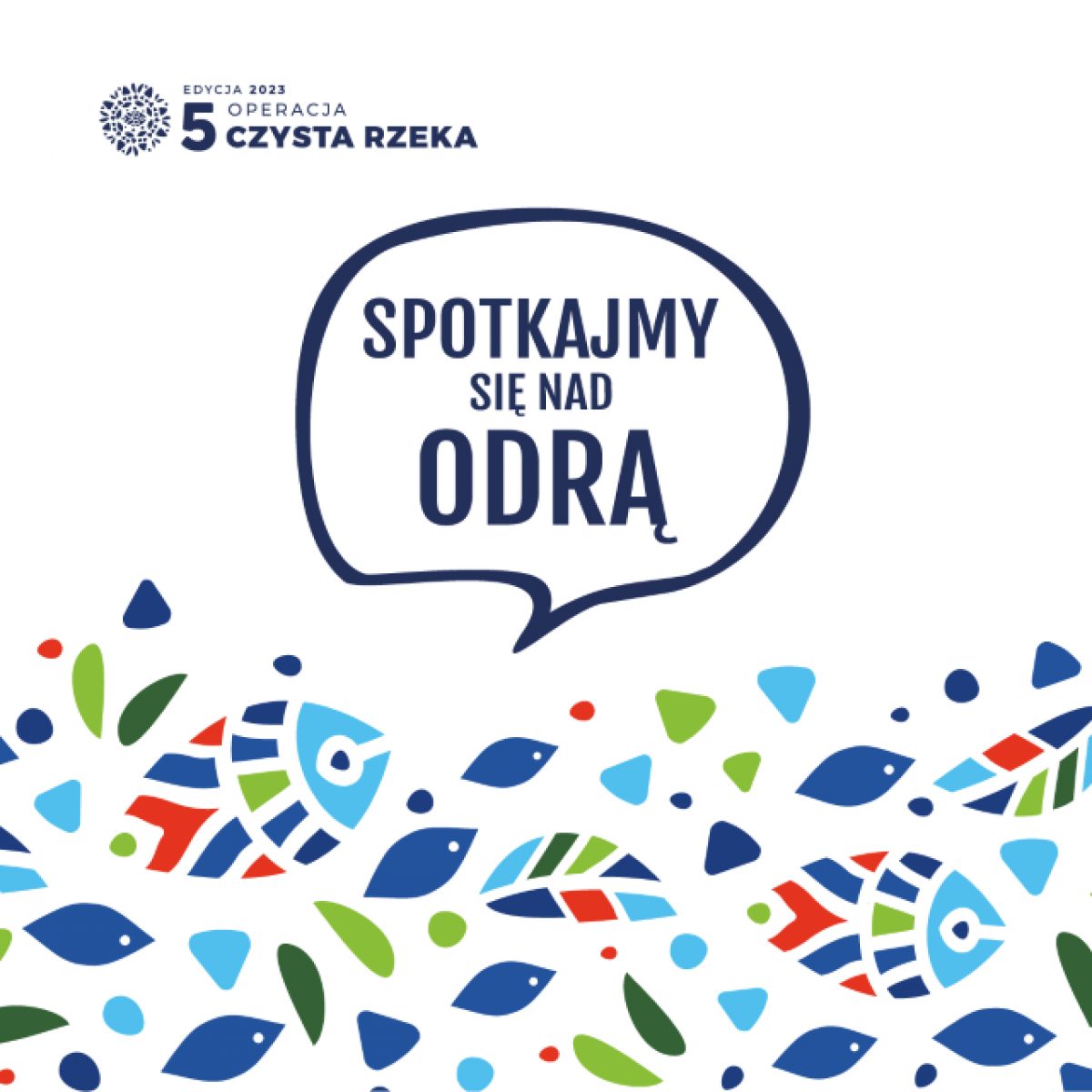 Zdjęcie w galerii na portalu naszraciborz.pl: Operacja Czysta Rzeka z udziałem Ekonomika wiadomości z regionu