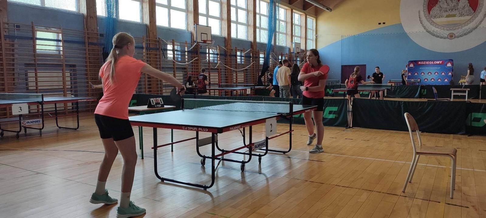 Zdjęcie w galerii na portalu naszraciborz.pl: Sukces dziewczyn z Krzanowic. Trzecie na Śląsku w tenisie stołowym wiadomości z regionu