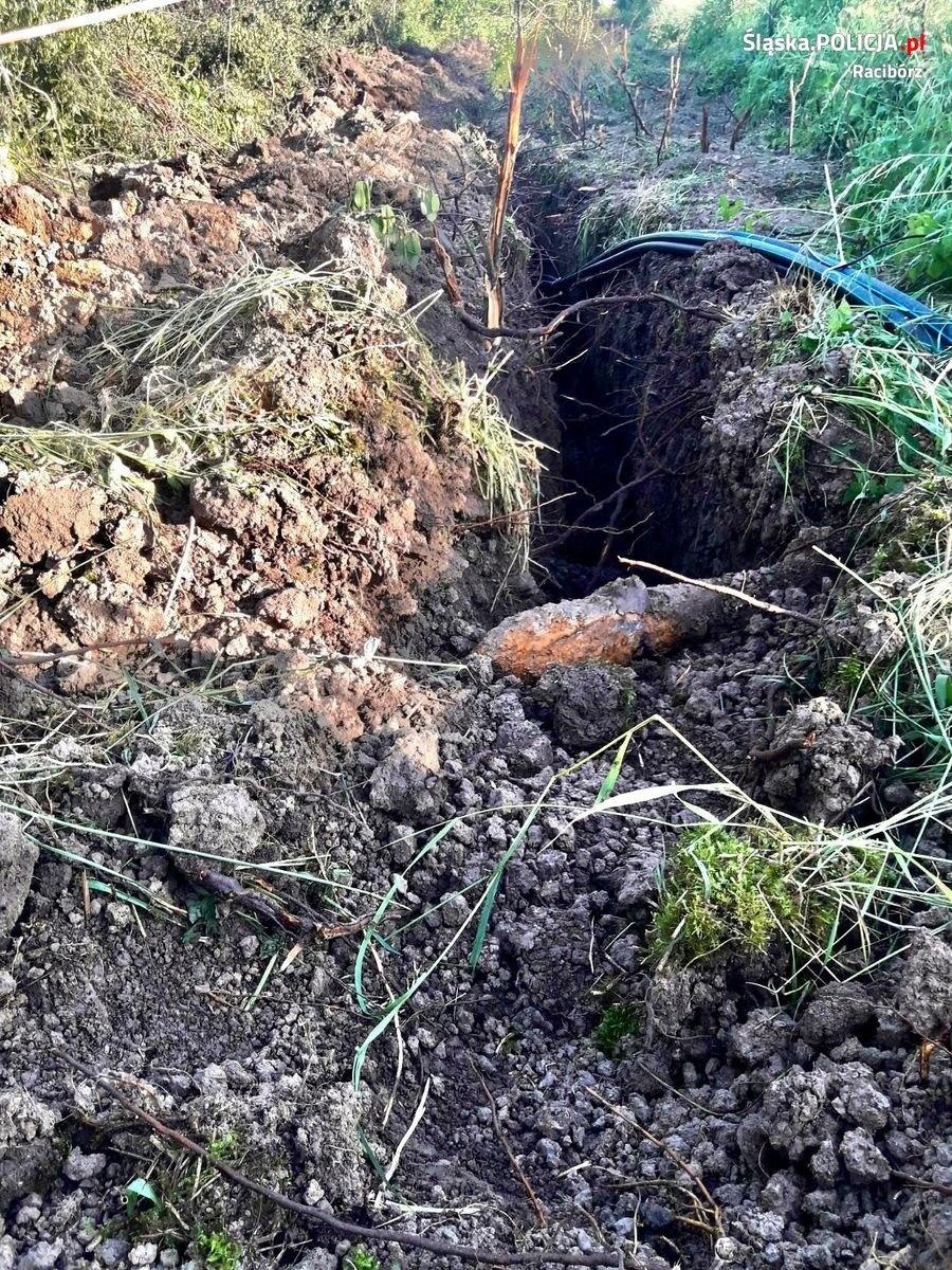 Zdjęcie w galerii na portalu naszraciborz.pl: Groźne znaleziska w Tworkowie i Rudzie Kozielskiej [FOTO] wiadomości z regionu