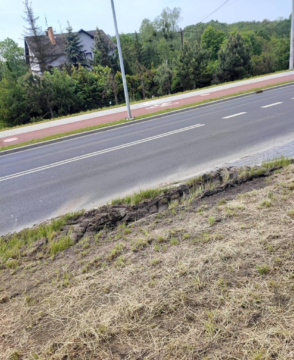 Zdjęcie w galerii na portalu naszraciborz.pl: Szpetnie to wygląda. Efekty koszenia na DW 935 [INTERWENCJA] wiadomości z regionu