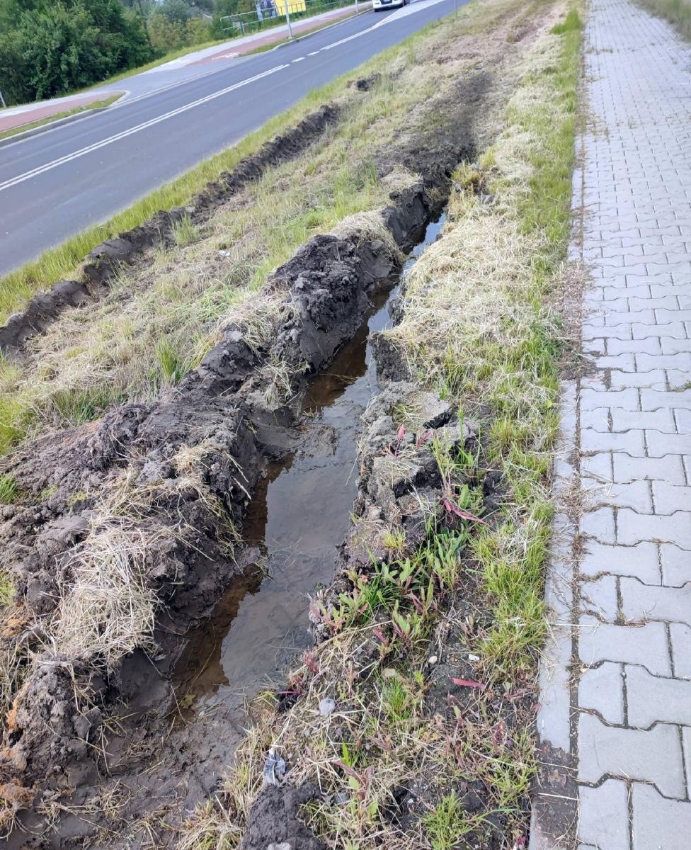 Zdjęcie w galerii na portalu naszraciborz.pl: Szpetnie to wygląda. Efekty koszenia na DW 935 [INTERWENCJA] wiadomości z regionu