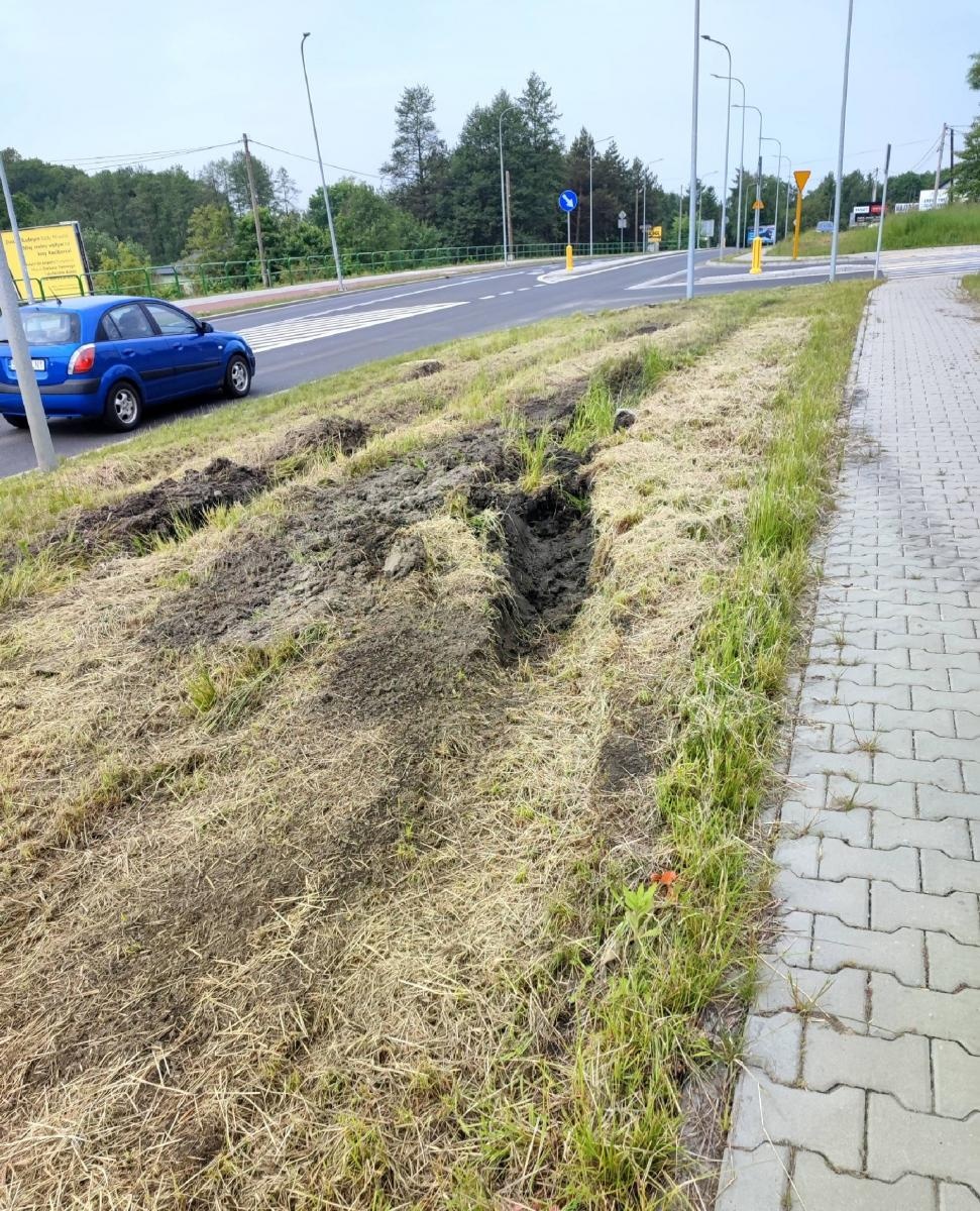 Zdjęcie w galerii na portalu naszraciborz.pl: Szpetnie to wygląda. Efekty koszenia na DW 935 [INTERWENCJA] wiadomości z regionu