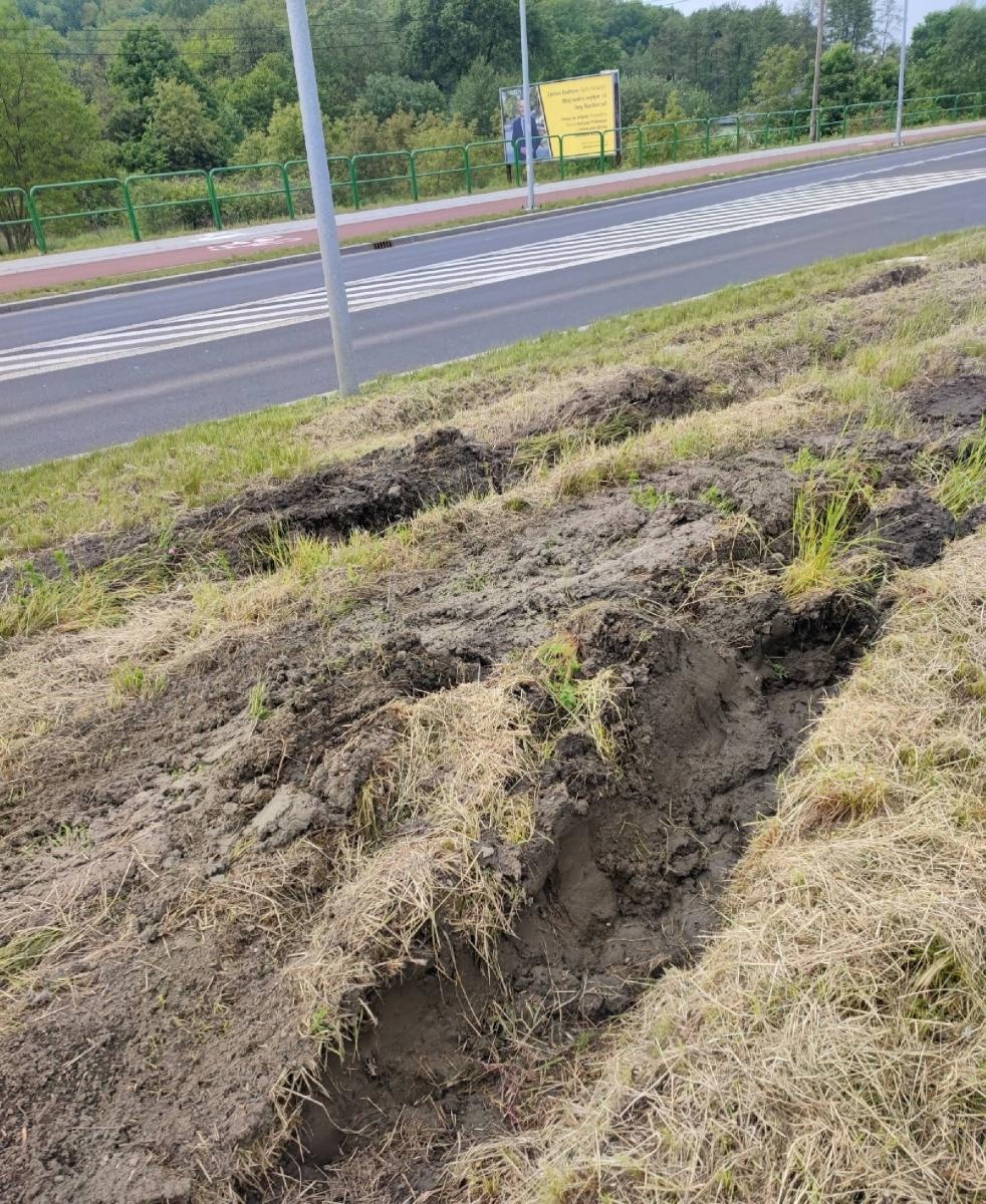 Zdjęcie w galerii na portalu naszraciborz.pl: Szpetnie to wygląda. Efekty koszenia na DW 935 [INTERWENCJA] wiadomości z regionu