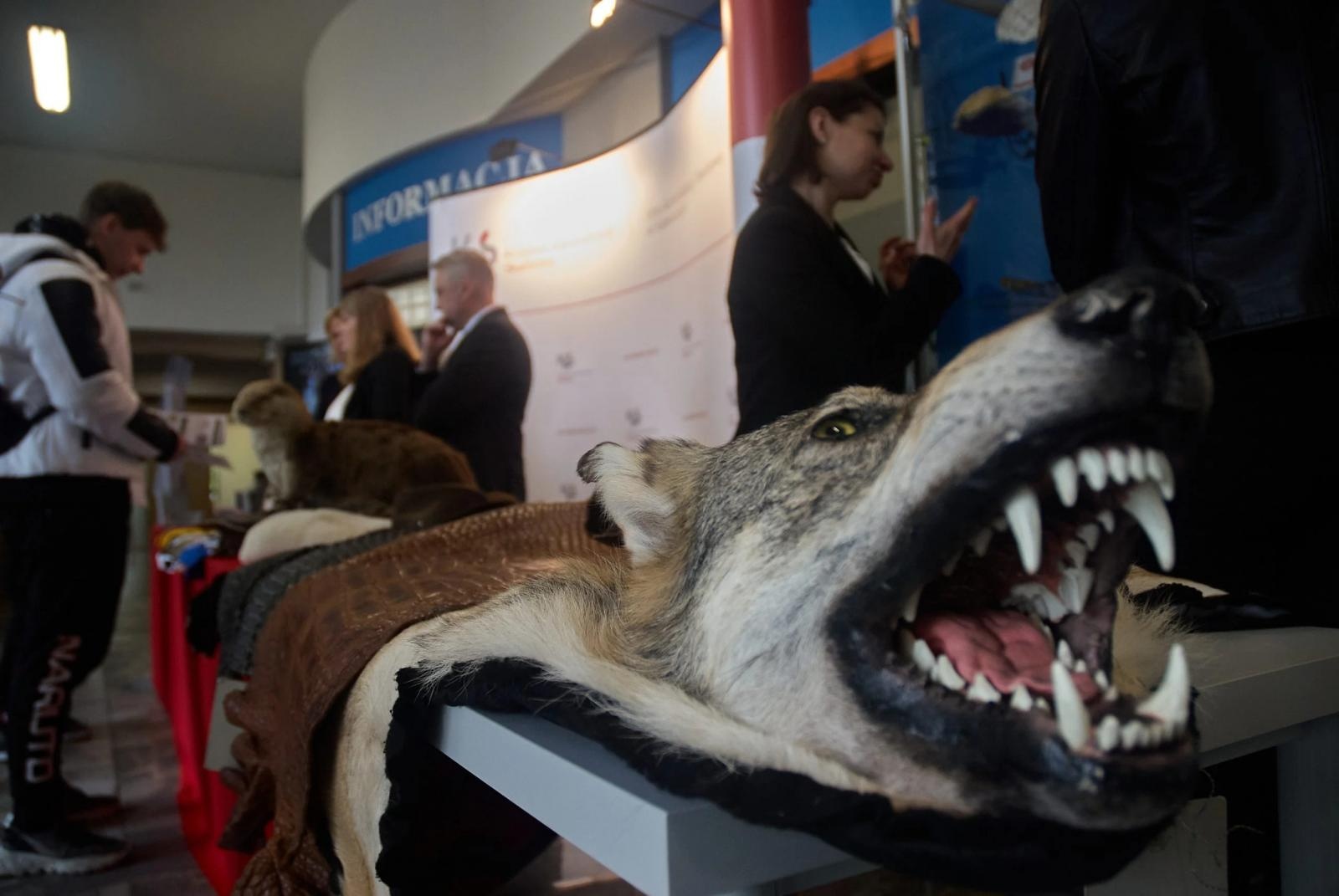 Zdjęcie w galerii na portalu naszraciborz.pl: Spotkanie z Krajową Administracją Skarbową w ANS wiadomości z regionu