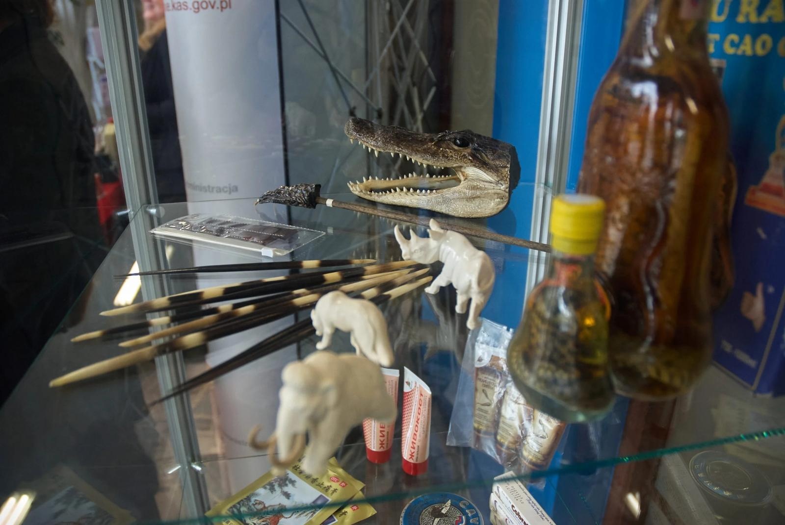 Zdjęcie w galerii na portalu naszraciborz.pl: Spotkanie z Krajową Administracją Skarbową w ANS wiadomości z regionu