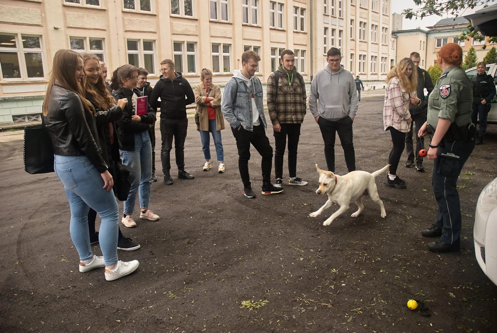 Zdjęcie w galerii na portalu naszraciborz.pl: Spotkanie z Krajową Administracją Skarbową w ANS wiadomości z regionu