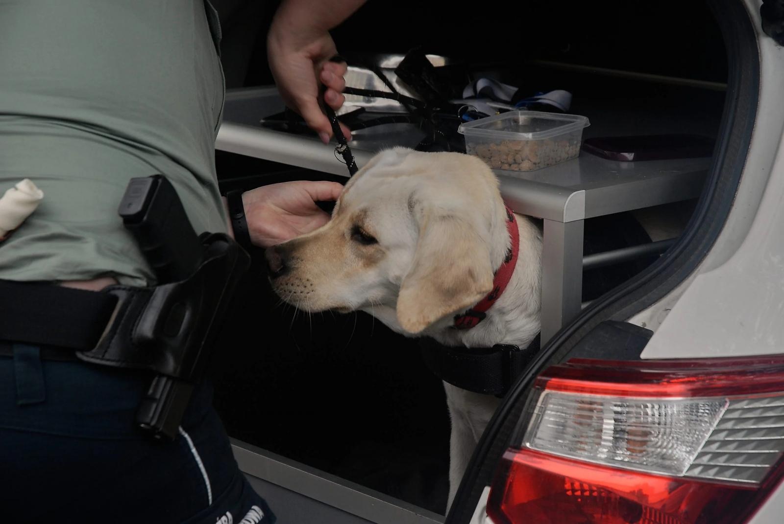 Zdjęcie w galerii na portalu naszraciborz.pl: Spotkanie z Krajową Administracją Skarbową w ANS wiadomości z regionu