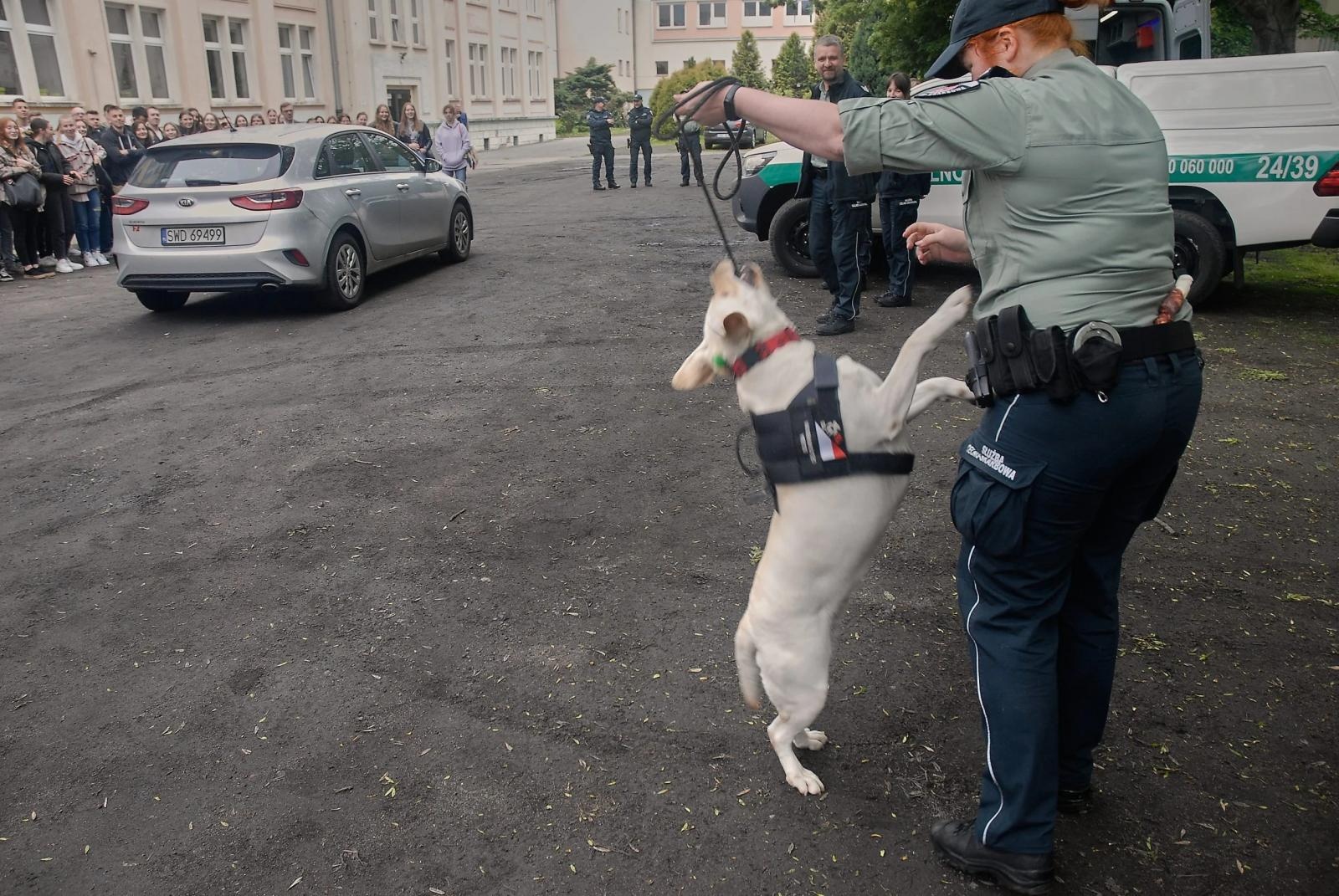 Zdjęcie w galerii na portalu naszraciborz.pl: Spotkanie z Krajową Administracją Skarbową w ANS wiadomości z regionu