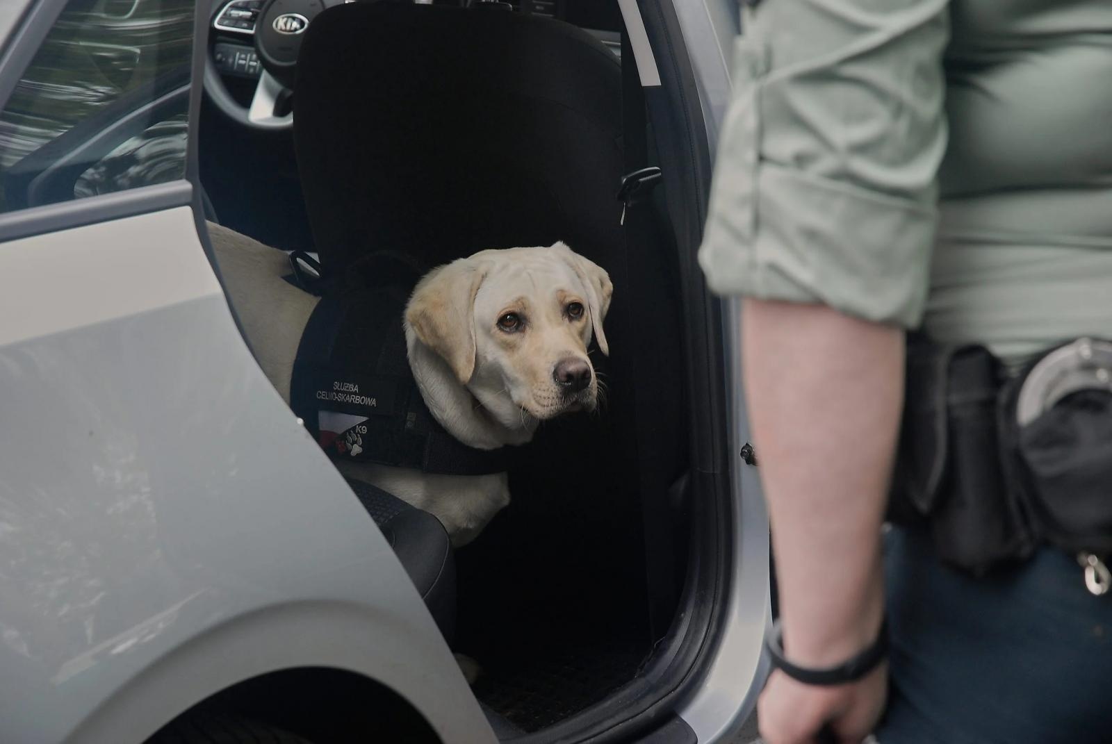Zdjęcie w galerii na portalu naszraciborz.pl: Spotkanie z Krajową Administracją Skarbową w ANS wiadomości z regionu