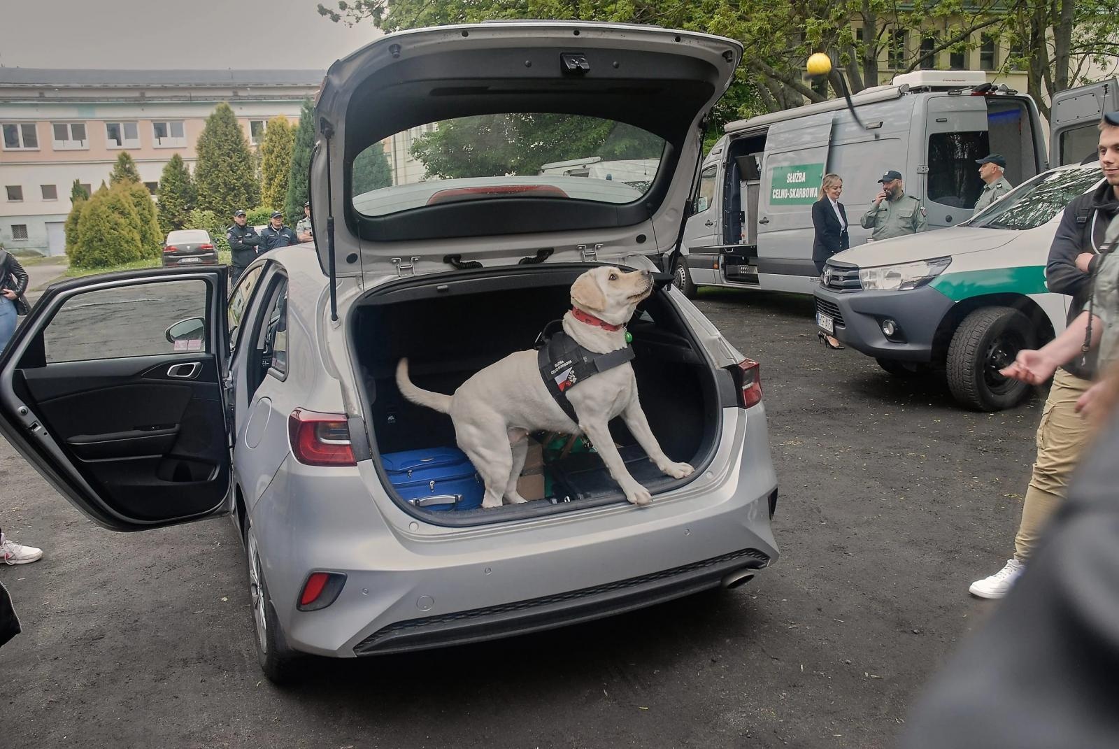 Zdjęcie w galerii na portalu naszraciborz.pl: Spotkanie z Krajową Administracją Skarbową w ANS wiadomości z regionu