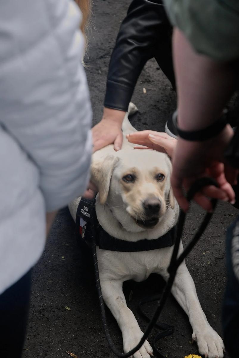 Zdjęcie w galerii na portalu naszraciborz.pl: Spotkanie z Krajową Administracją Skarbową w ANS wiadomości z regionu