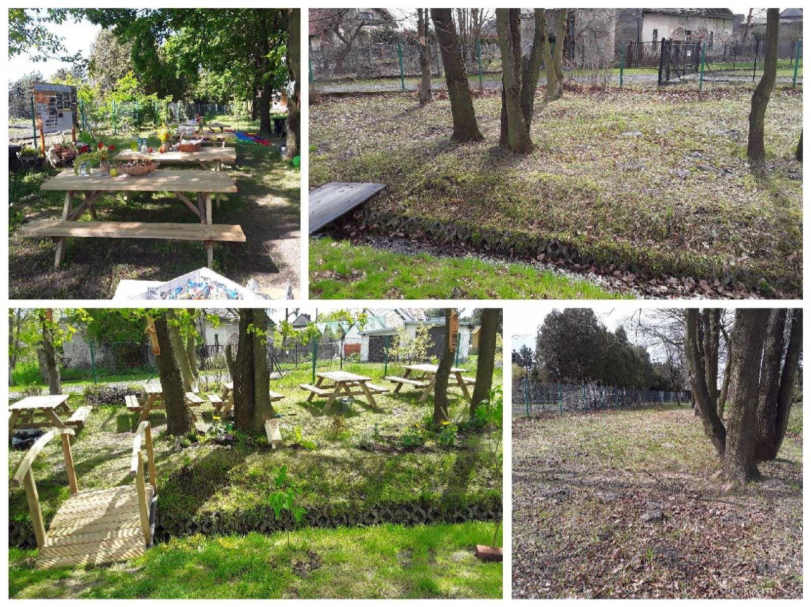 Zdjęcie w galerii na portalu naszraciborz.pl: W szkole w Nędzy powstała strefa bioróżnorodności wiadomości z regionu