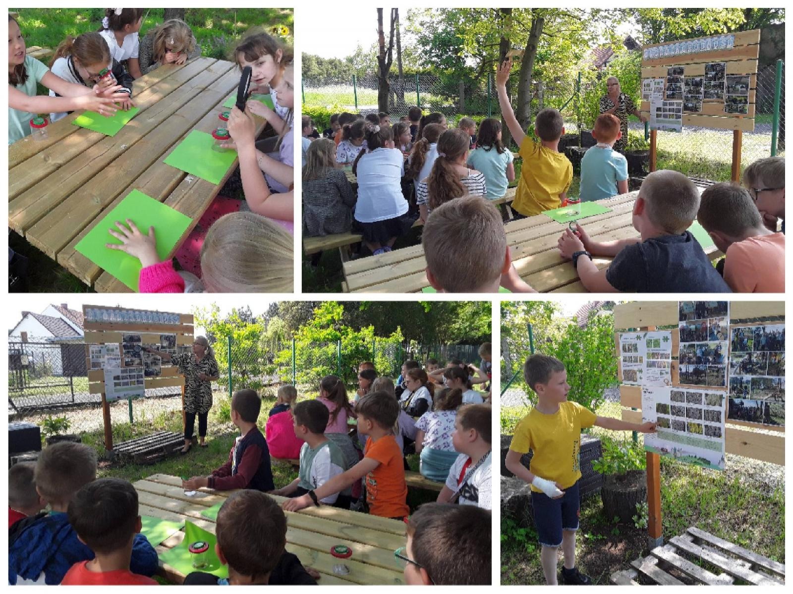 Zdjęcie w galerii na portalu naszraciborz.pl: W szkole w Nędzy powstała strefa bioróżnorodności wiadomości z regionu