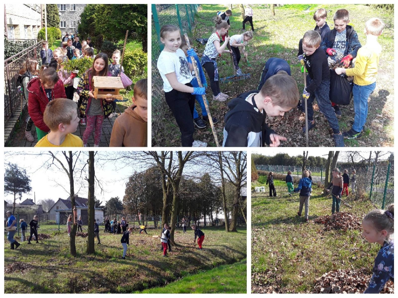 Zdjęcie w galerii na portalu naszraciborz.pl: W szkole w Nędzy powstała strefa bioróżnorodności wiadomości z regionu