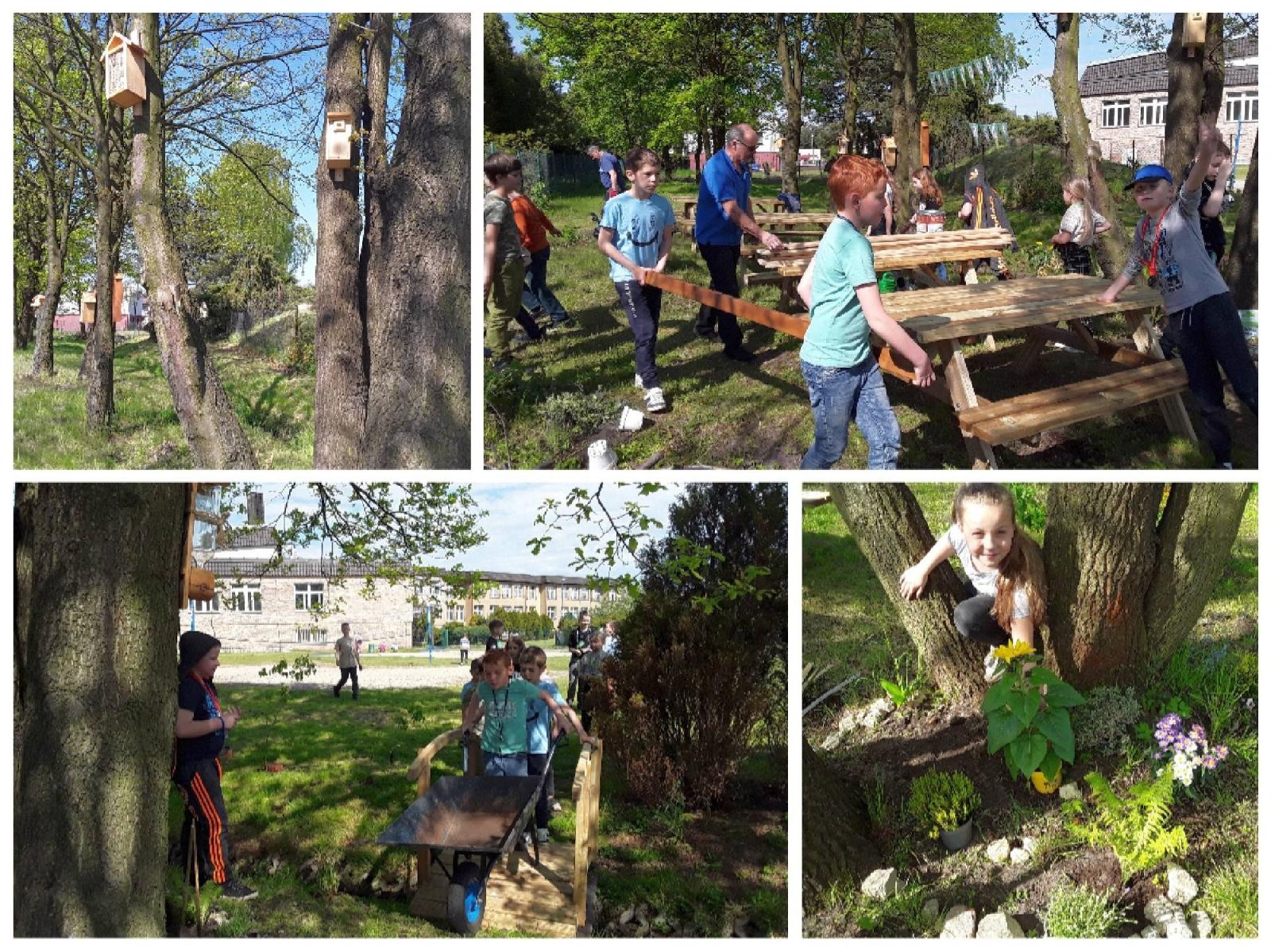 Zdjęcie w galerii na portalu naszraciborz.pl: W szkole w Nędzy powstała strefa bioróżnorodności wiadomości z regionu