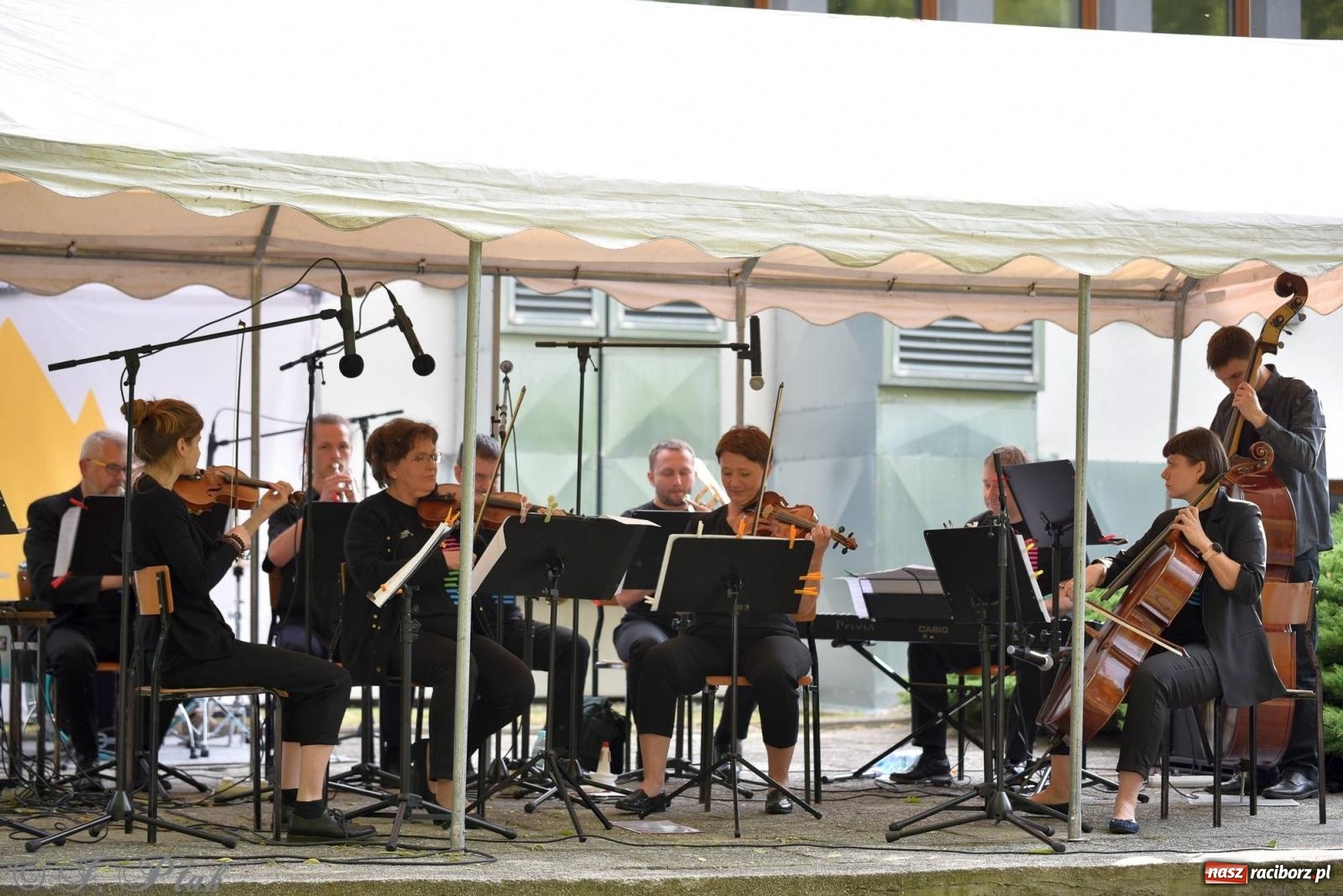 Zdjęcie w galerii na portalu naszraciborz.pl: W muzycznym ogrodzie, czyli The Teacher’s Band na Dni Raciborza wiadomości z regionu