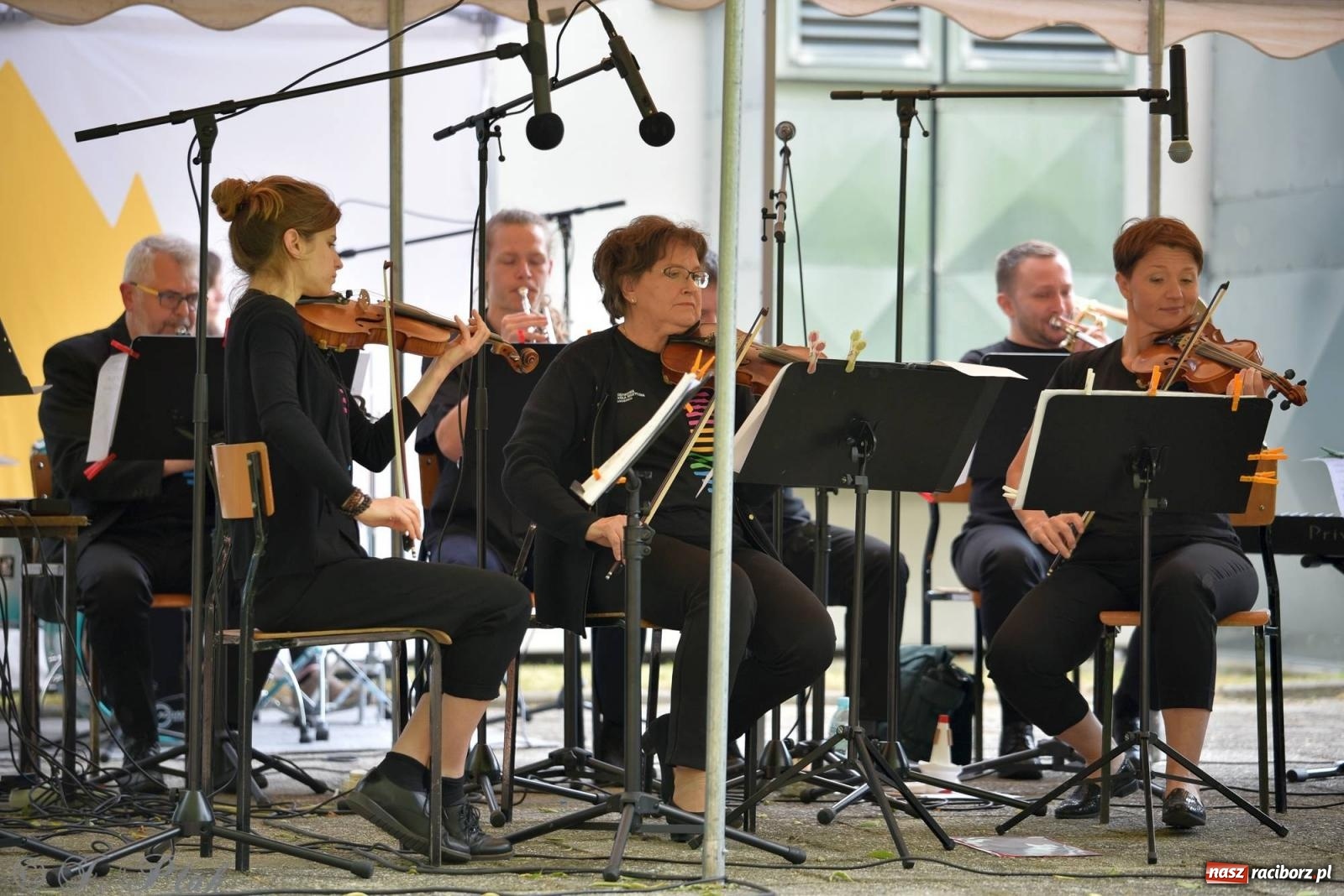 Zdjęcie w galerii na portalu naszraciborz.pl: W muzycznym ogrodzie, czyli The Teacher’s Band na Dni Raciborza wiadomości z regionu