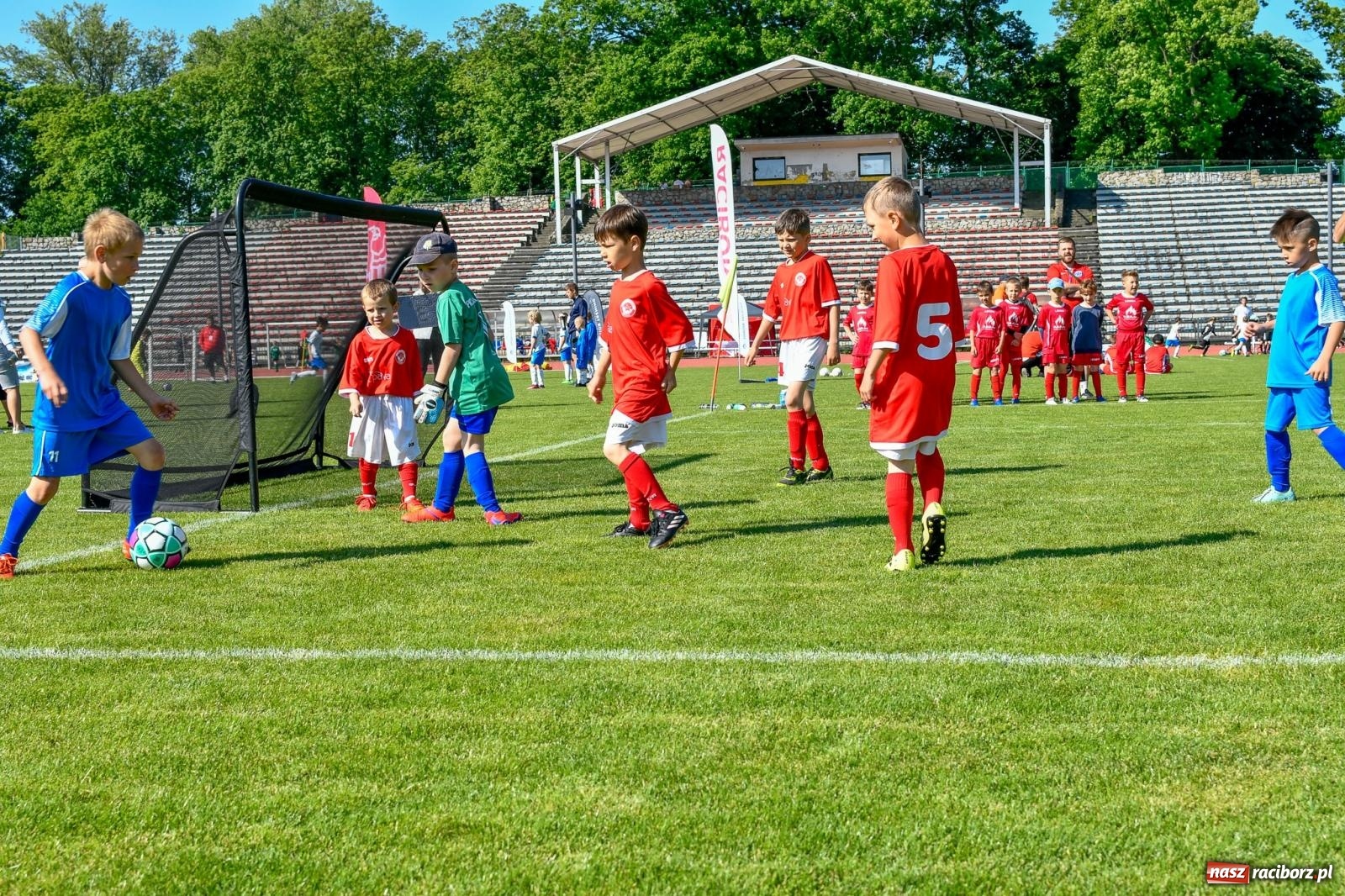 Zdjęcie w galerii na portalu naszraciborz.pl: Dwudniowe piłkarskie zmagania przy Zamkowej [FOTO i WIDEO] wiadomości z regionu