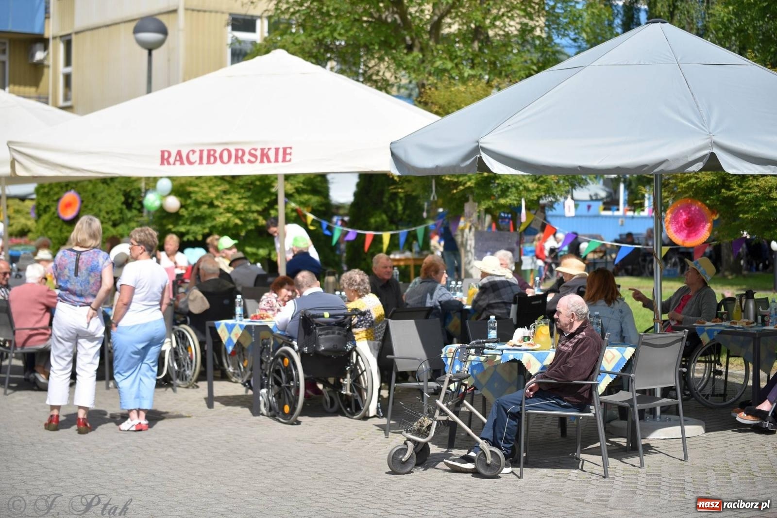 Zdjęcie w galerii na portalu naszraciborz.pl: Szampańska zabawa seniorów ze Złotej Jesieni [FOTO i WIDEO] wiadomości z regionu