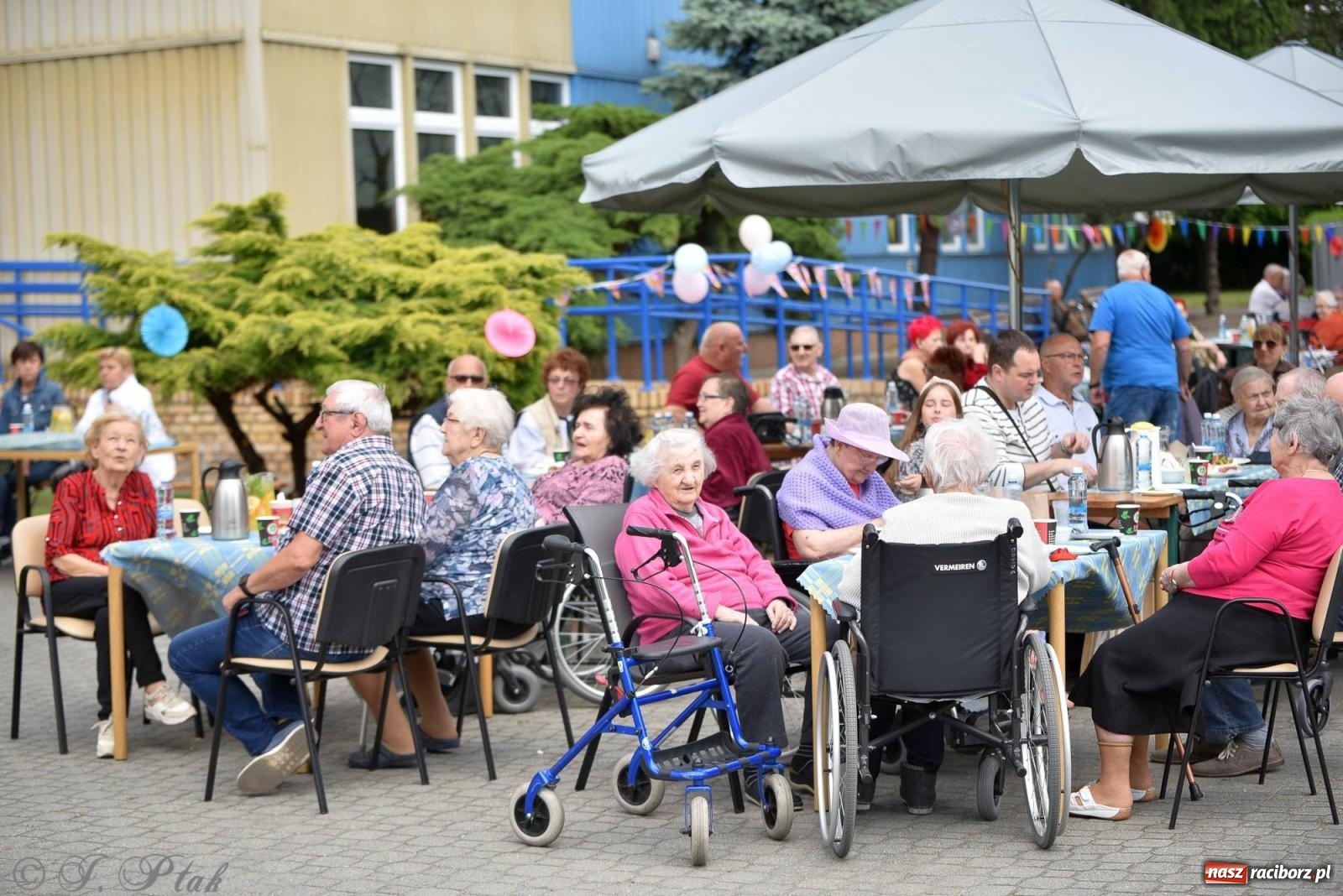 Zdjęcie w galerii na portalu naszraciborz.pl: Szampańska zabawa seniorów ze Złotej Jesieni [FOTO i WIDEO] wiadomości z regionu