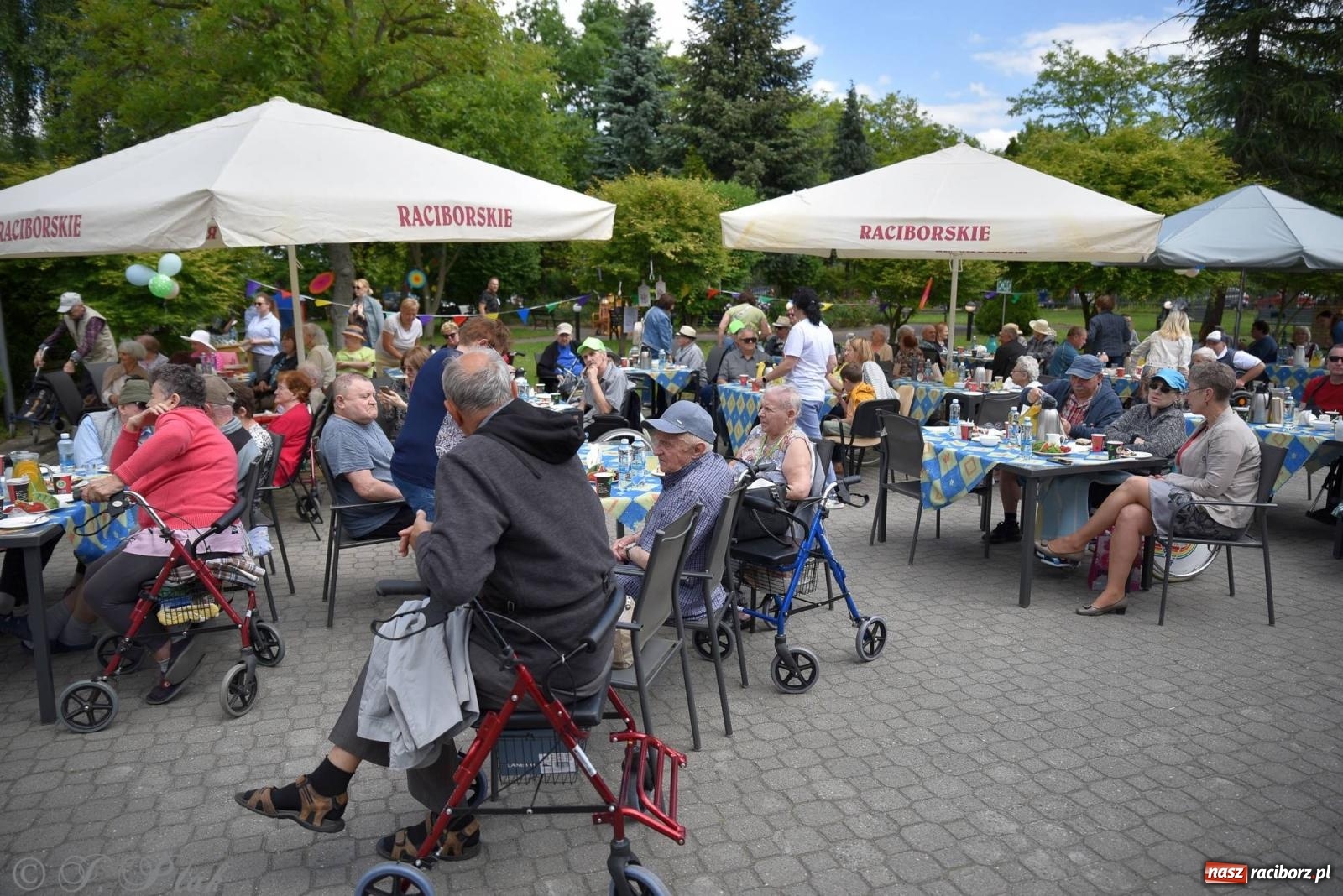 Zdjęcie w galerii na portalu naszraciborz.pl: Szampańska zabawa seniorów ze Złotej Jesieni [FOTO i WIDEO] wiadomości z regionu