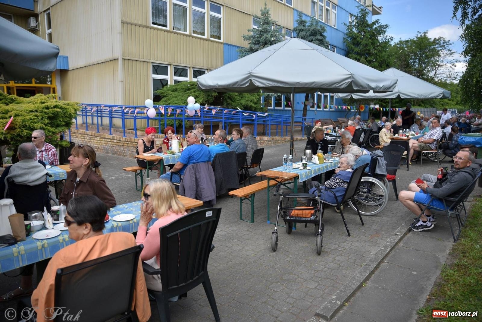 Zdjęcie w galerii na portalu naszraciborz.pl: Szampańska zabawa seniorów ze Złotej Jesieni [FOTO i WIDEO] wiadomości z regionu