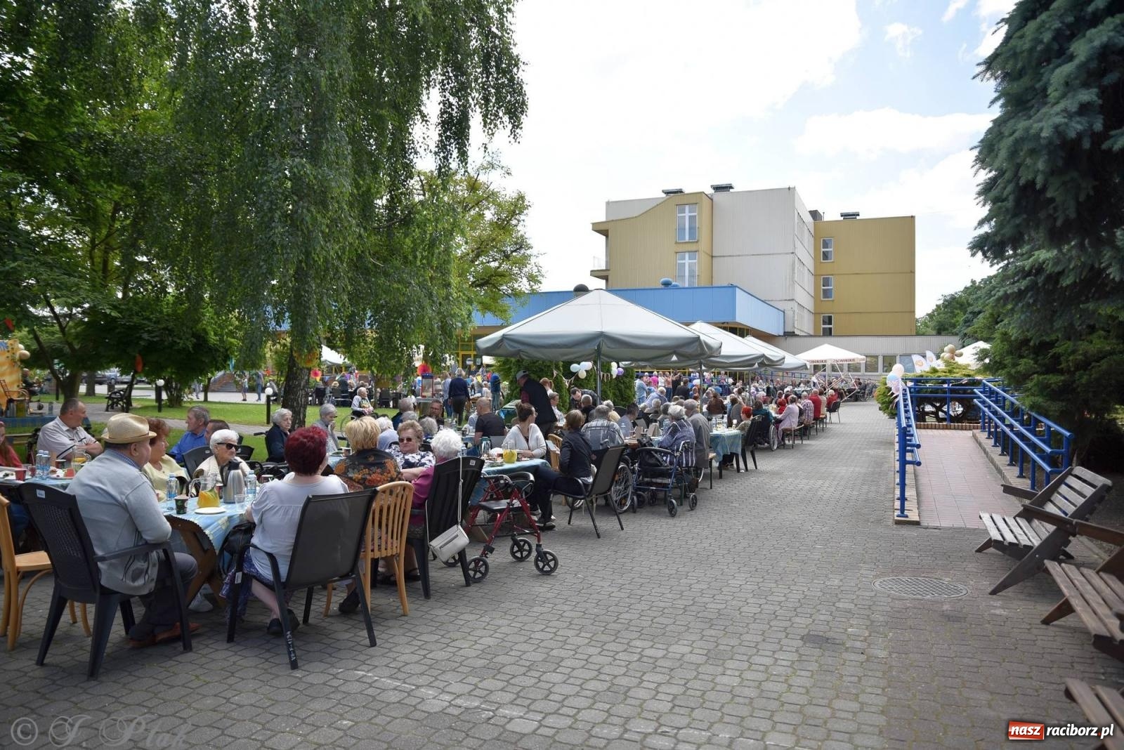 Zdjęcie w galerii na portalu naszraciborz.pl: Szampańska zabawa seniorów ze Złotej Jesieni [FOTO i WIDEO] wiadomości z regionu