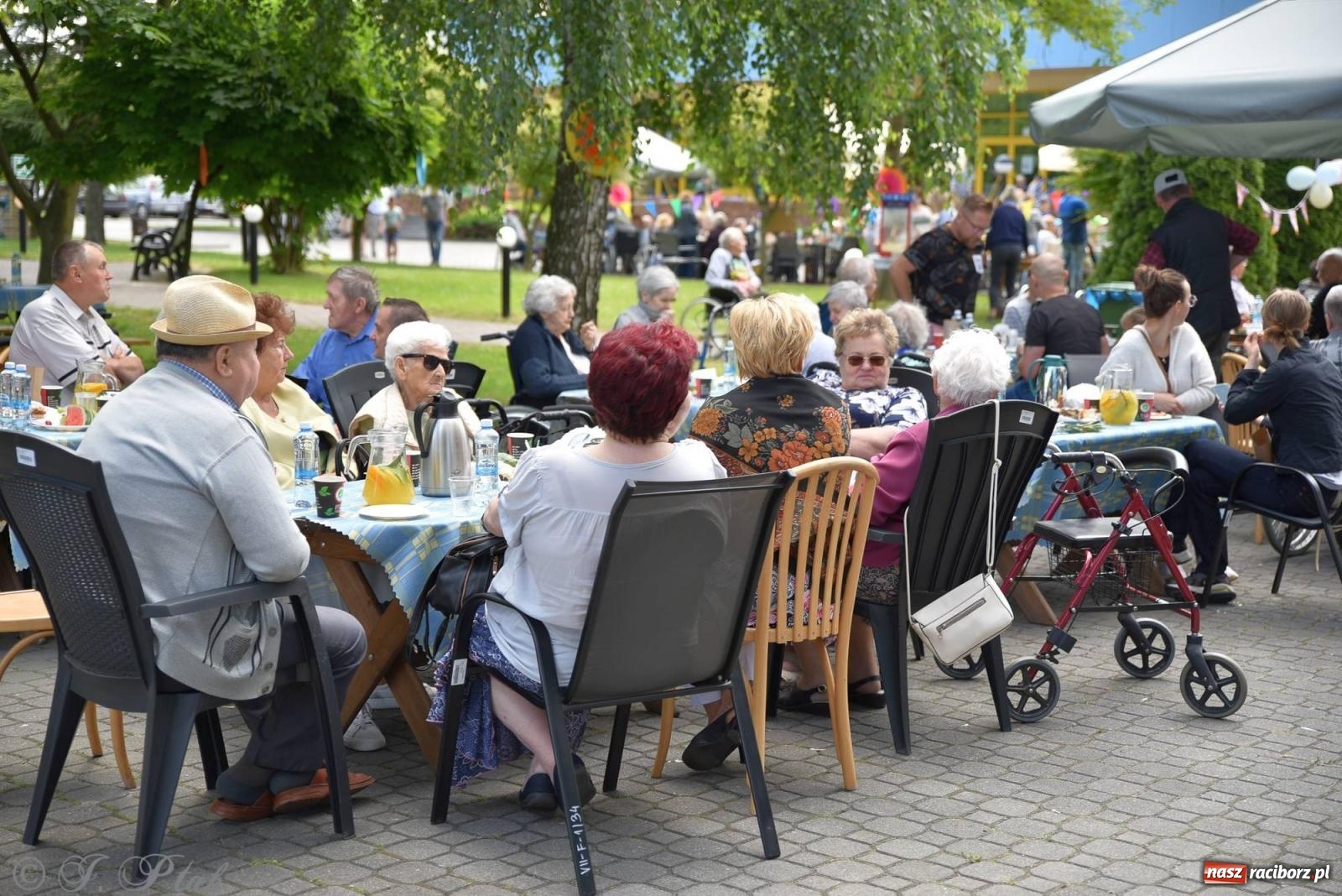 Zdjęcie w galerii na portalu naszraciborz.pl: Szampańska zabawa seniorów ze Złotej Jesieni [FOTO i WIDEO] wiadomości z regionu
