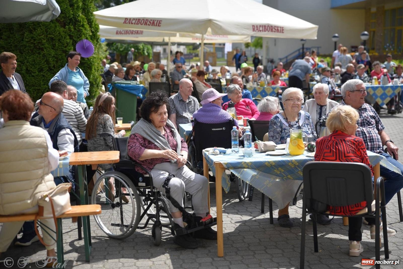 Zdjęcie w galerii na portalu naszraciborz.pl: Szampańska zabawa seniorów ze Złotej Jesieni [FOTO i WIDEO] wiadomości z regionu