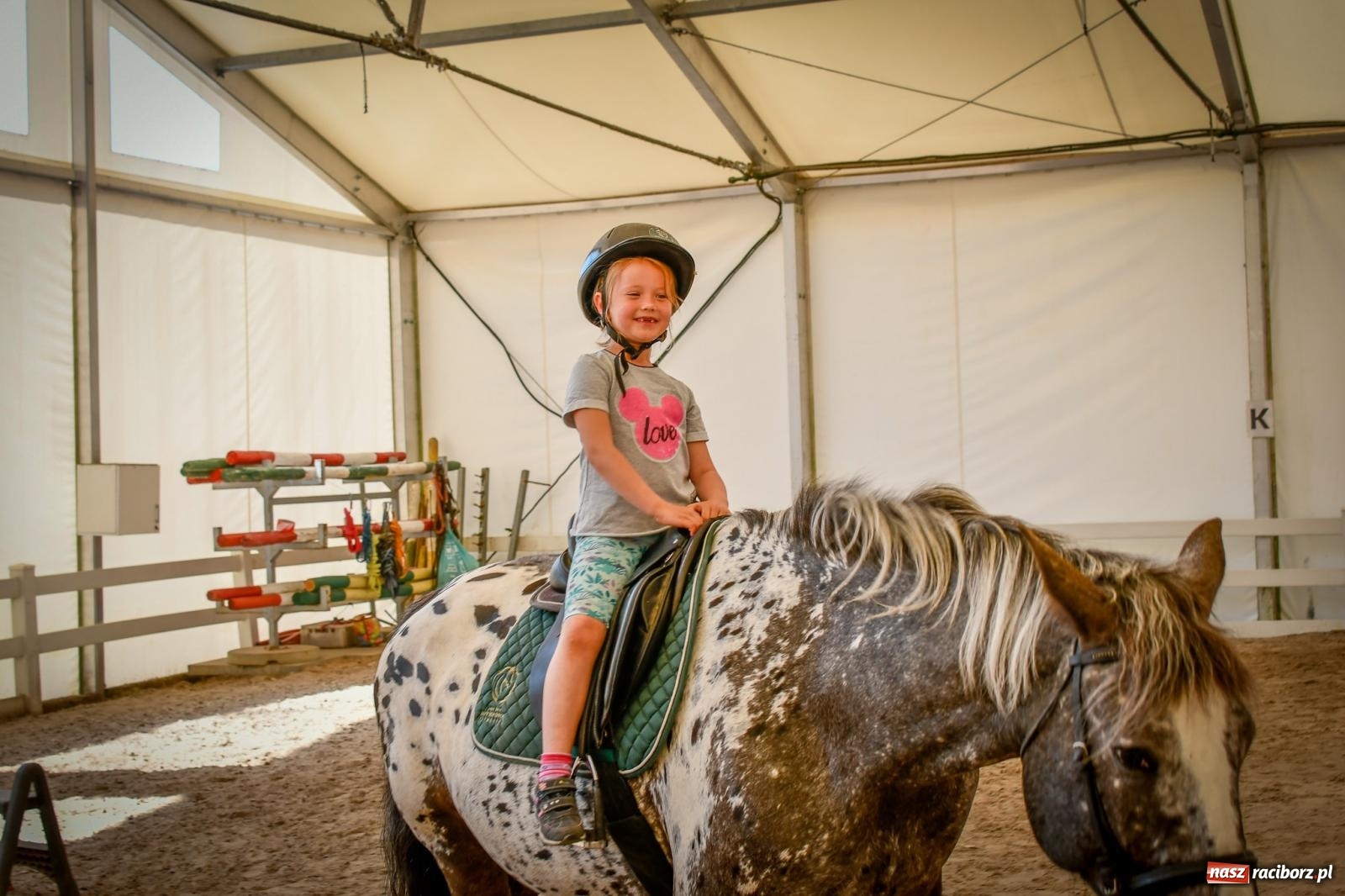 Zdjęcie w galerii na portalu naszraciborz.pl: Tłumy na Dniu Dziecka w klubie jeździeckim Aquabrax [FOTO i WIDEO] wiadomości z regionu