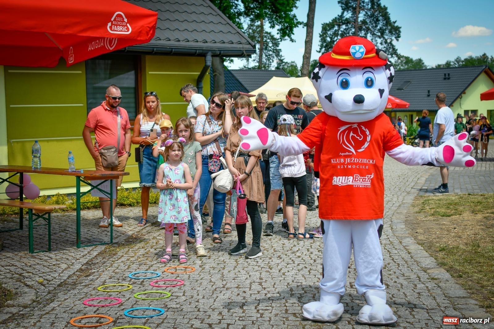 Zdjęcie w galerii na portalu naszraciborz.pl: Tłumy na Dniu Dziecka w klubie jeździeckim Aquabrax [FOTO i WIDEO] wiadomości z regionu
