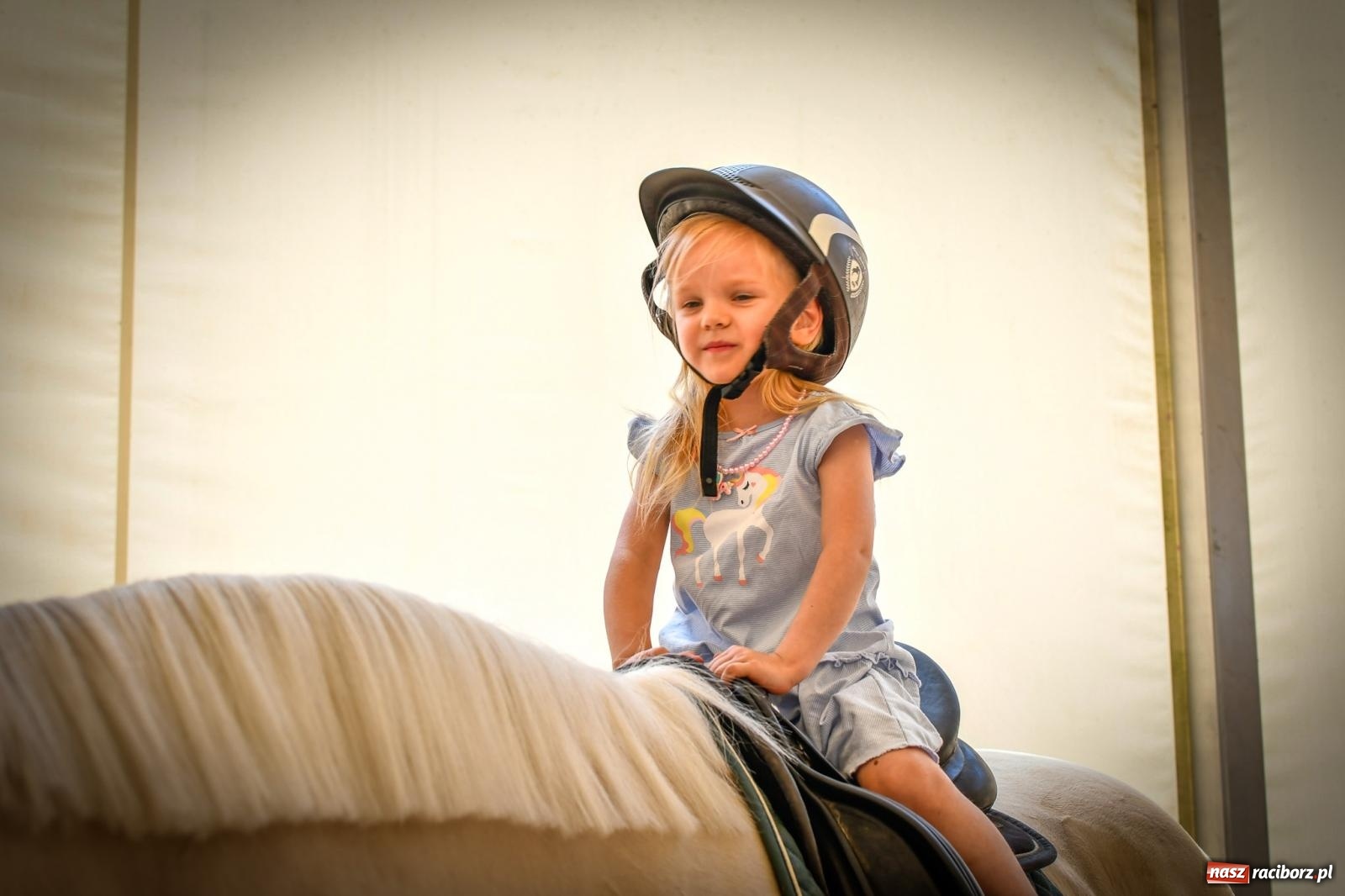 Zdjęcie w galerii na portalu naszraciborz.pl: Tłumy na Dniu Dziecka w klubie jeździeckim Aquabrax [FOTO i WIDEO] wiadomości z regionu