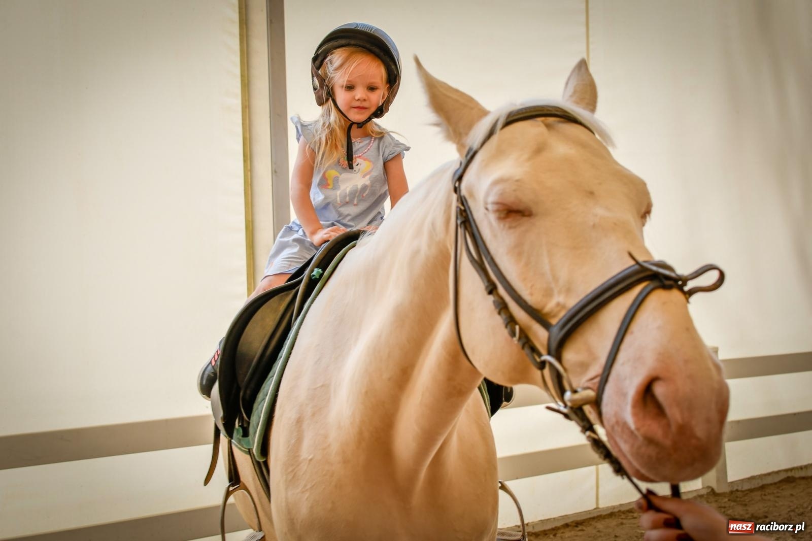 Zdjęcie w galerii na portalu naszraciborz.pl: Tłumy na Dniu Dziecka w klubie jeździeckim Aquabrax [FOTO i WIDEO] wiadomości z regionu