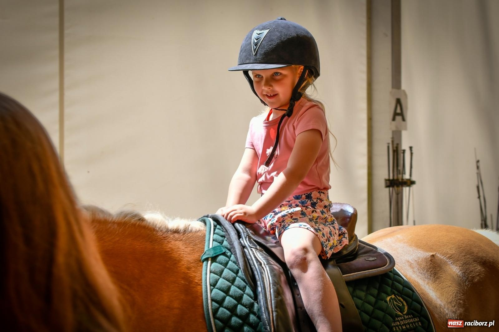 Zdjęcie w galerii na portalu naszraciborz.pl: Tłumy na Dniu Dziecka w klubie jeździeckim Aquabrax [FOTO i WIDEO] wiadomości z regionu