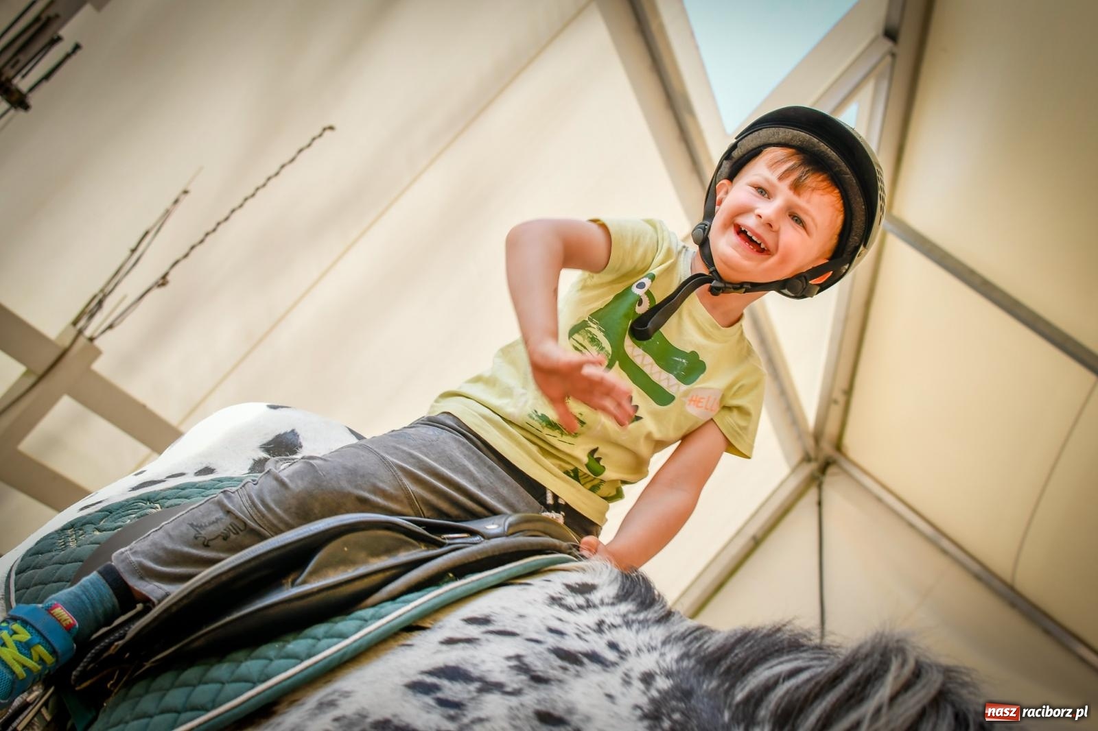Zdjęcie w galerii na portalu naszraciborz.pl: Tłumy na Dniu Dziecka w klubie jeździeckim Aquabrax [FOTO i WIDEO] wiadomości z regionu