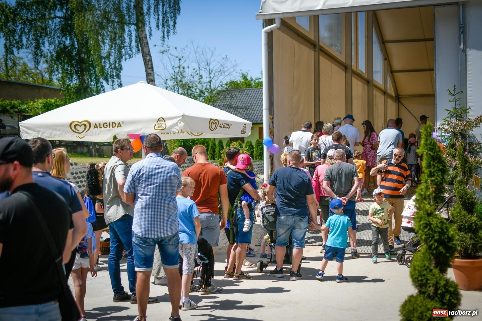 Zdjęcie w galerii na portalu naszraciborz.pl: Tłumy na Dniu Dziecka w klubie jeździeckim Aquabrax [FOTO i WIDEO] wiadomości z regionu