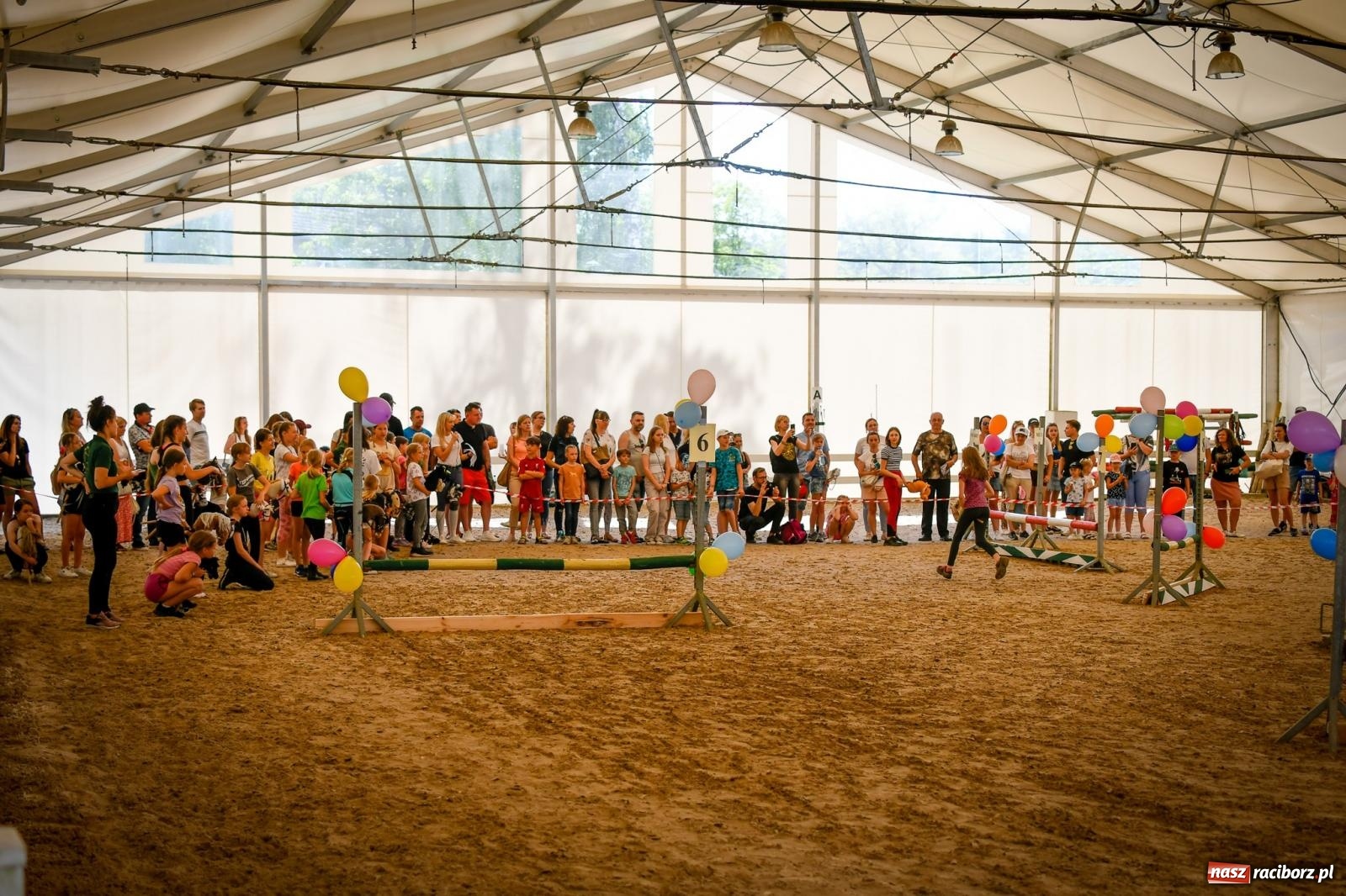 Zdjęcie w galerii na portalu naszraciborz.pl: Tłumy na Dniu Dziecka w klubie jeździeckim Aquabrax [FOTO i WIDEO] wiadomości z regionu